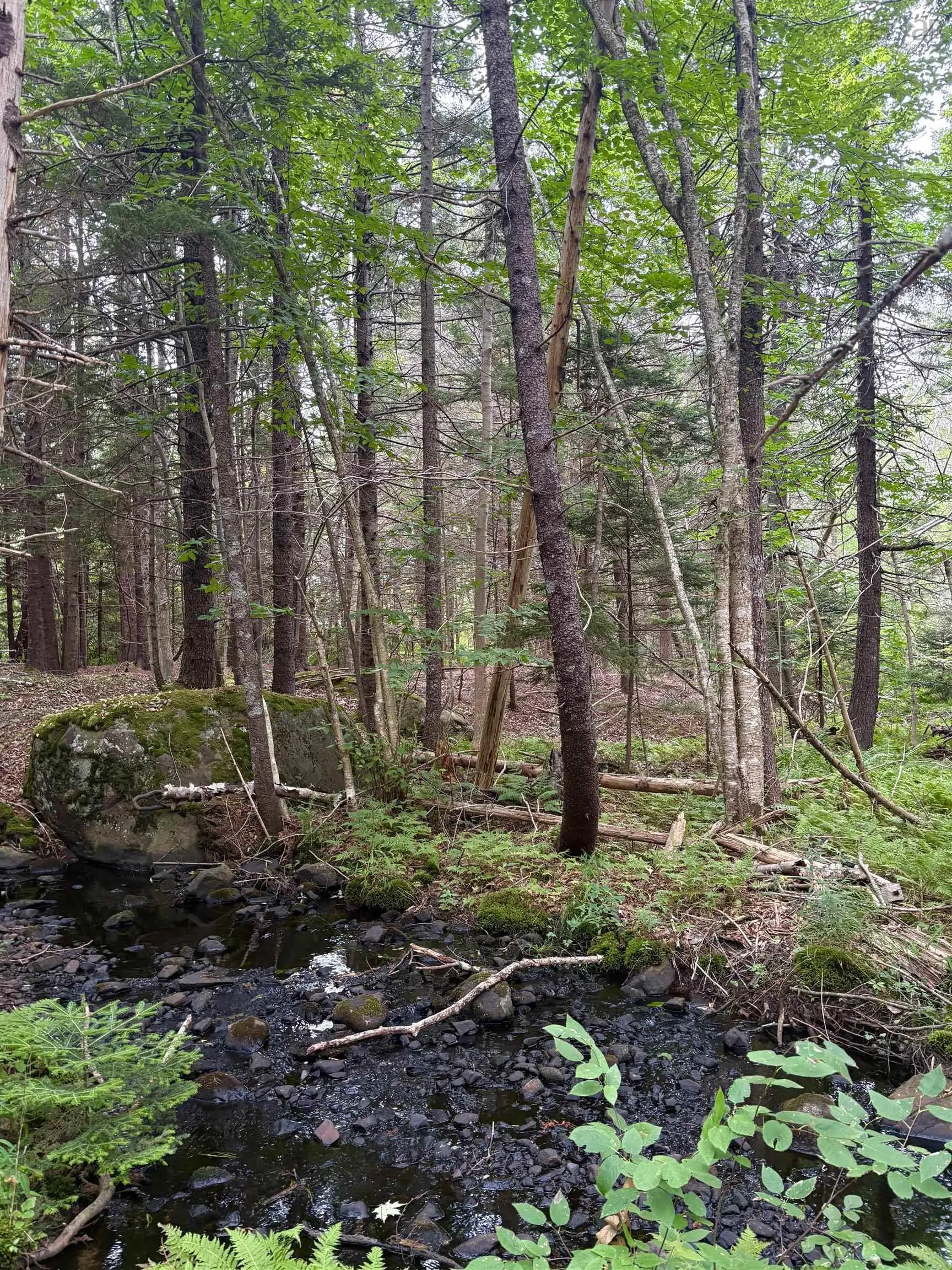 415 Sissiboo Road, Weymouth, NS B0W 3T0, ,Land,For Sale,Sissiboo Road,202520742