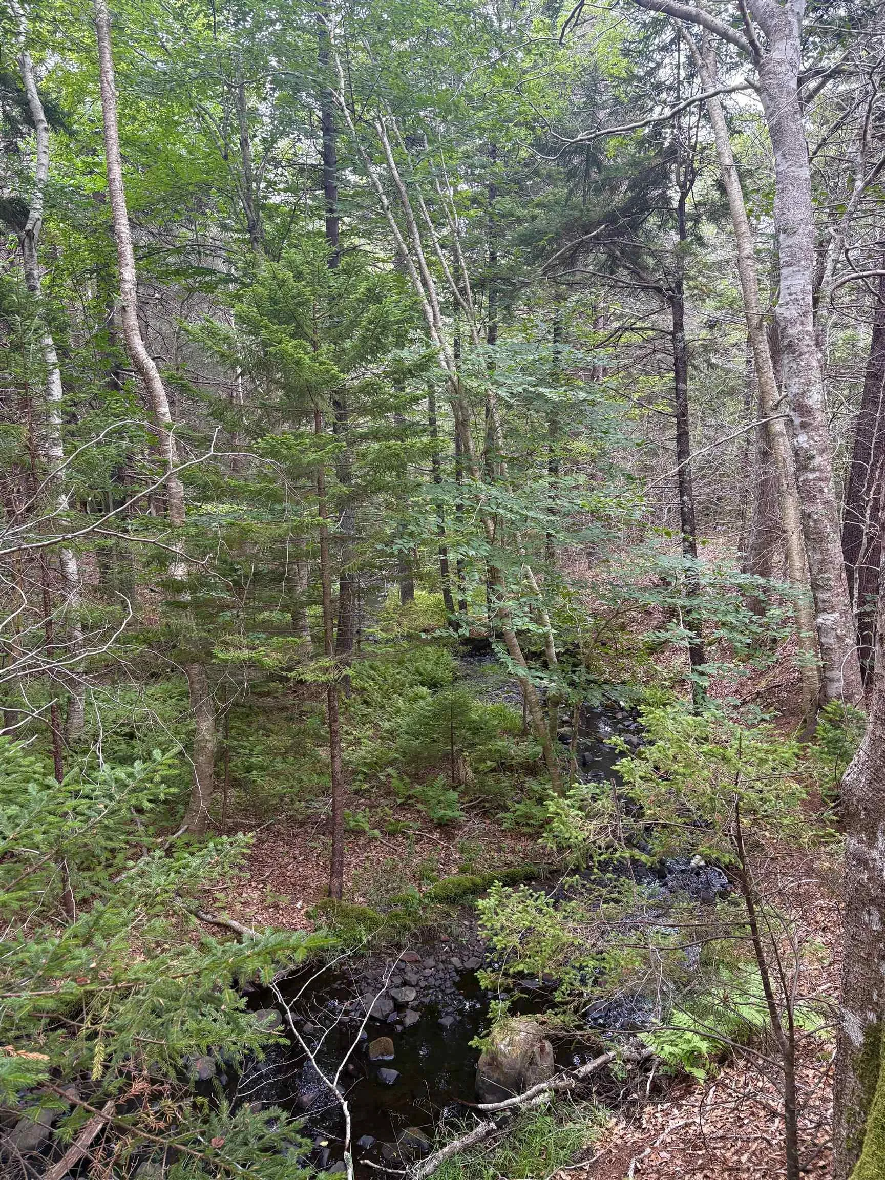 415 Sissiboo Road, Weymouth, NS B0W 3T0, ,Land,For Sale,Sissiboo Road,202520742