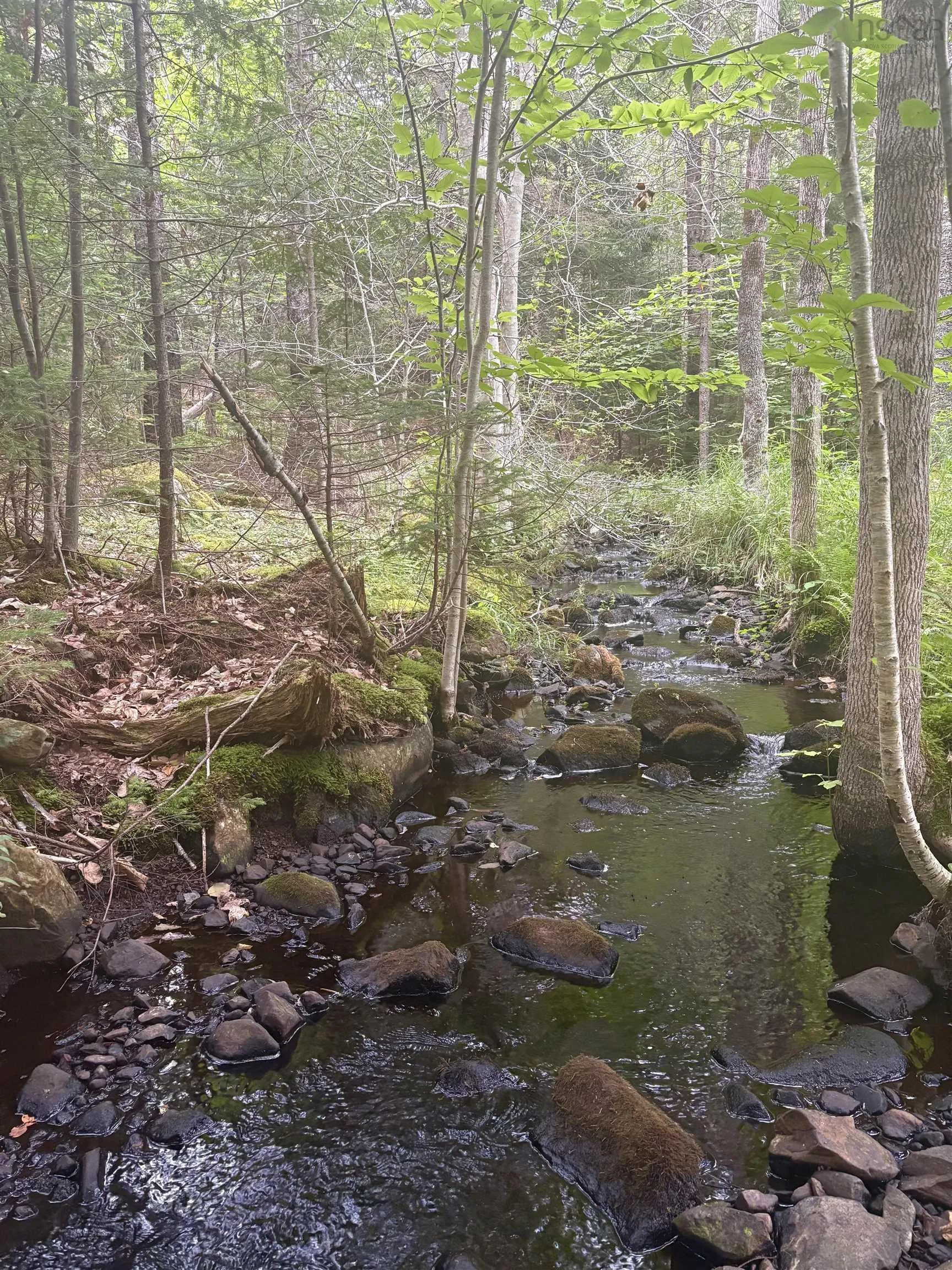 415 Sissiboo Road, Weymouth, NS B0W 3T0, ,Land,For Sale,Sissiboo Road,202520742