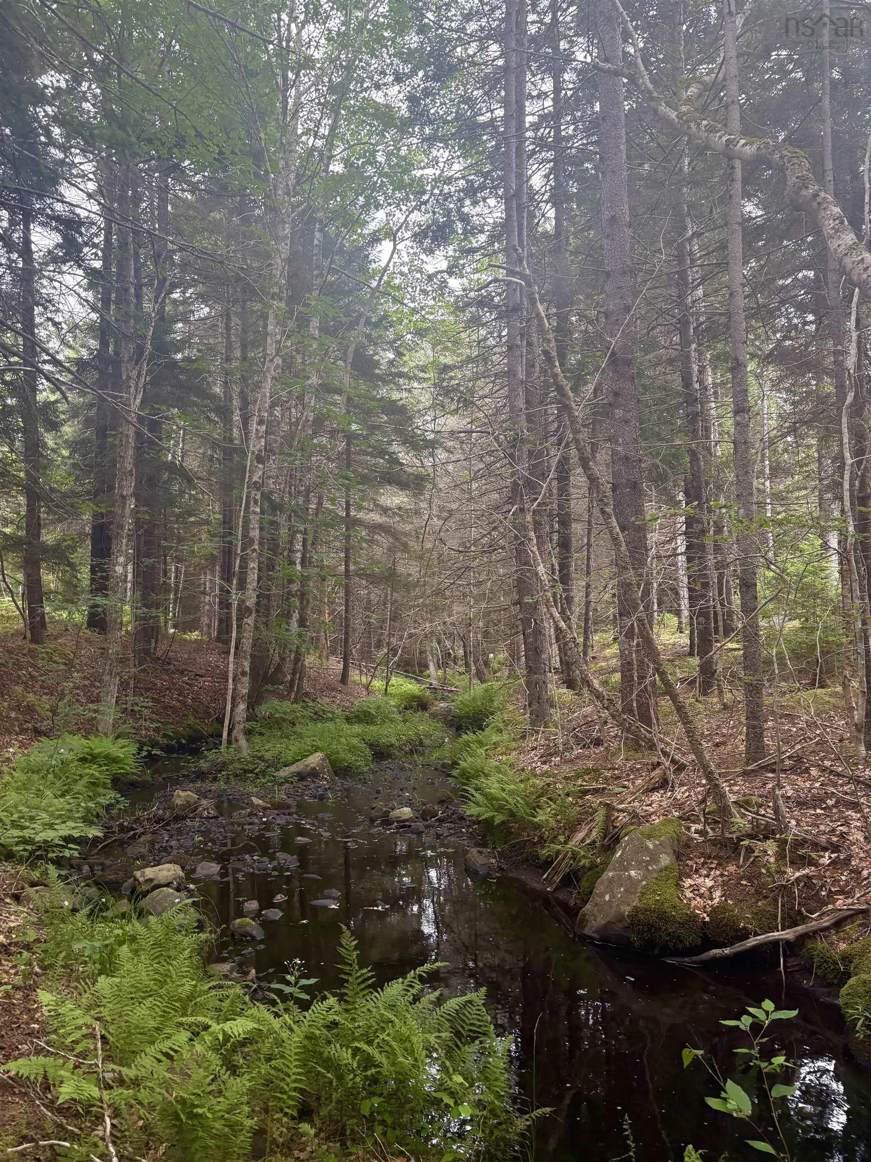 415 Sissiboo Road, Weymouth, NS B0W 3T0, ,Land,For Sale,Sissiboo Road,202520742