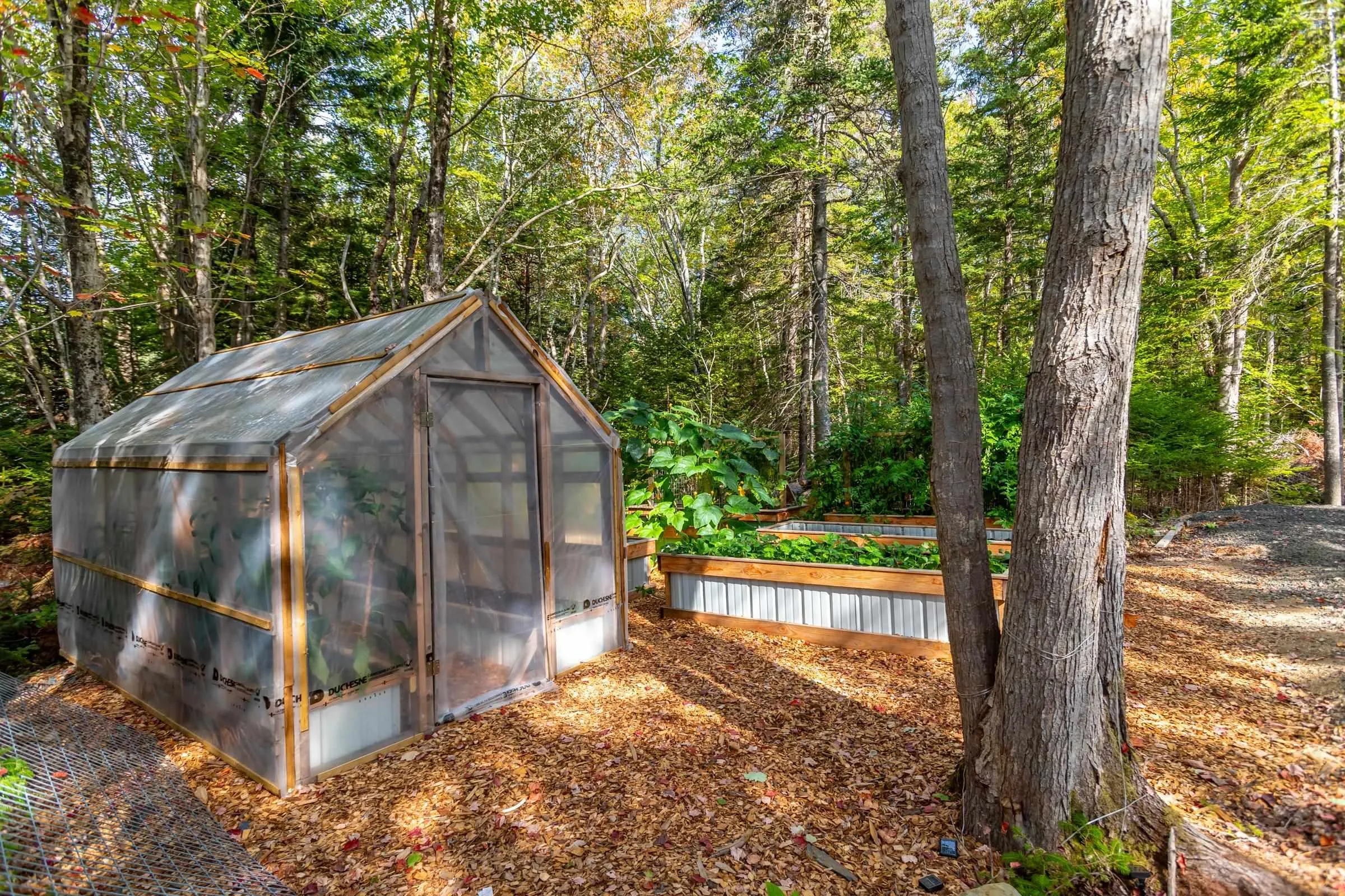 83 Virginia Road, Virginia East, NS B0S 1G0, 1 Bedroom Bedrooms, ,2 BathroomsBathrooms,Residential,For Sale,Virginia,202523720