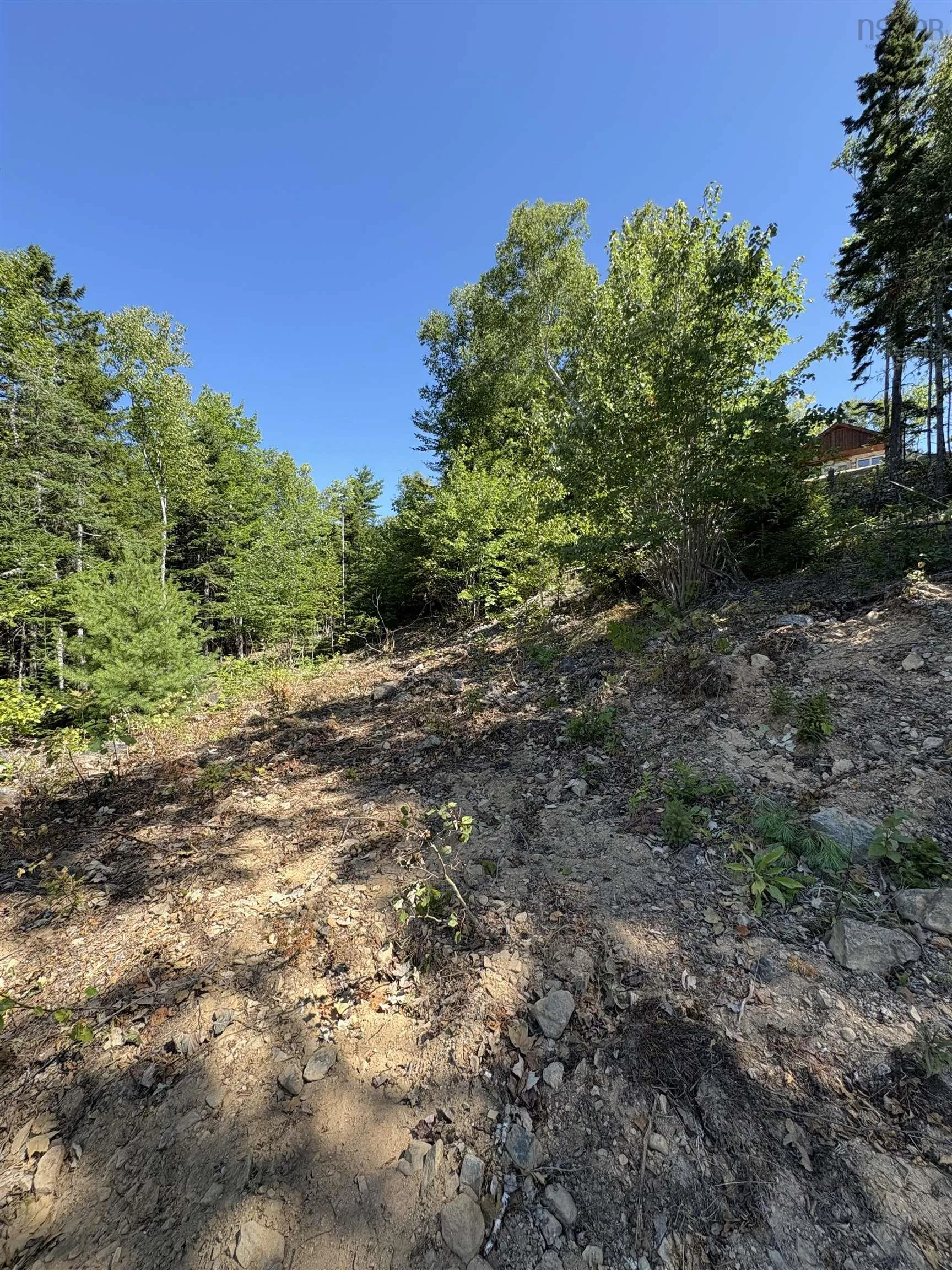 Osprey Ridge Road, Vaughan, NS B0N 2T0, ,Land,For Sale,Osprey Ridge,202520975