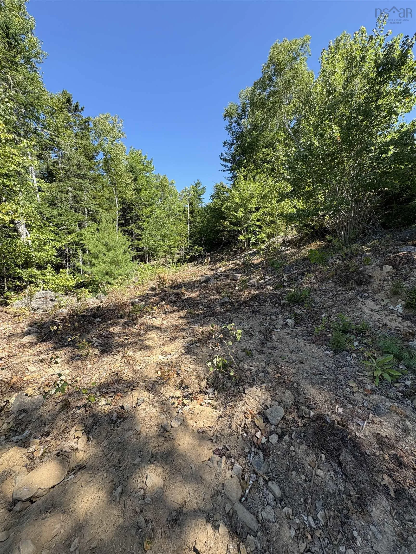 Osprey Ridge Road, Vaughan, NS B0N 2T0, ,Land,For Sale,Osprey Ridge,202520975