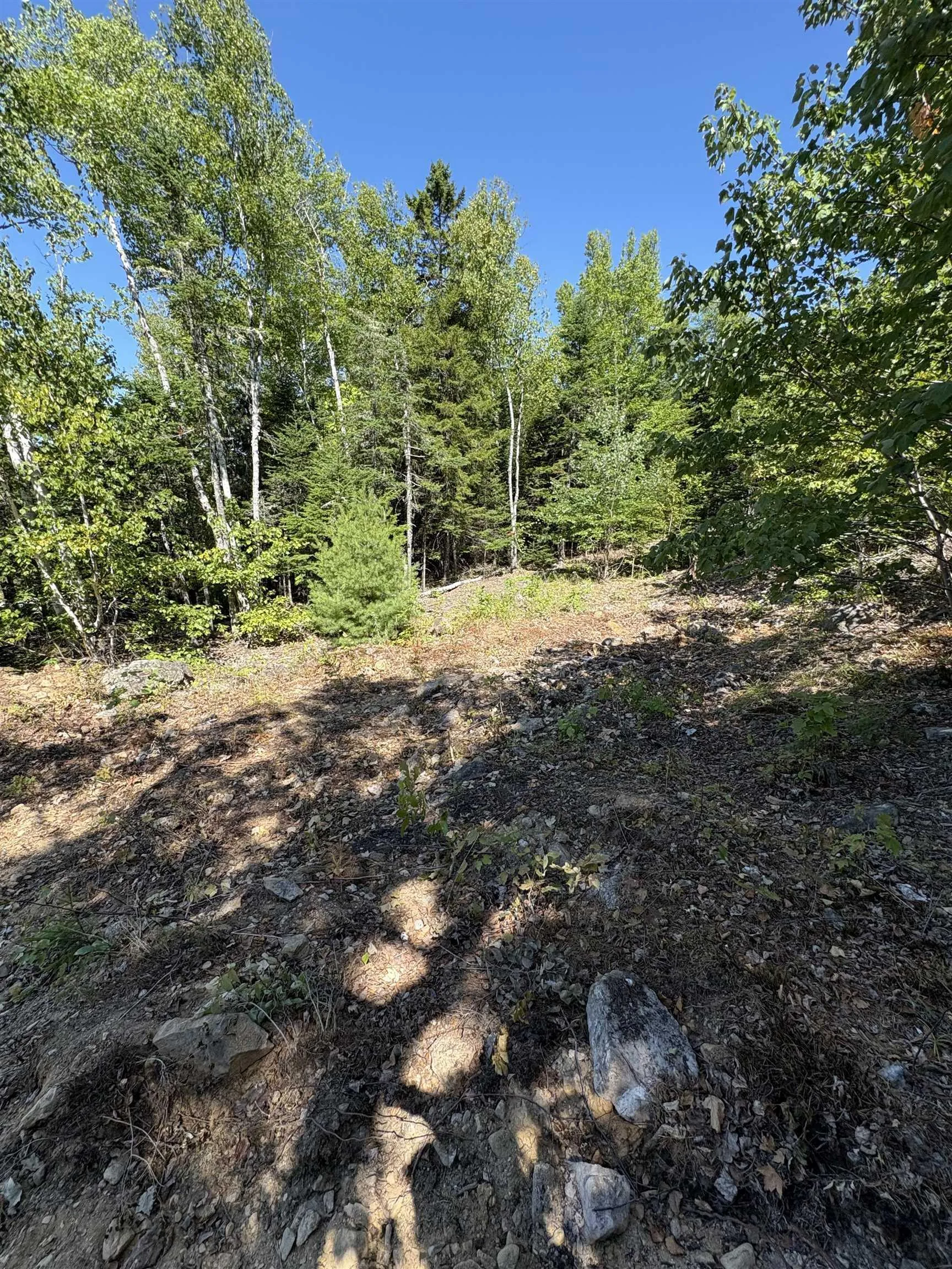 Osprey Ridge Road, Vaughan, NS B0N 2T0, ,Land,For Sale,Osprey Ridge,202520975
