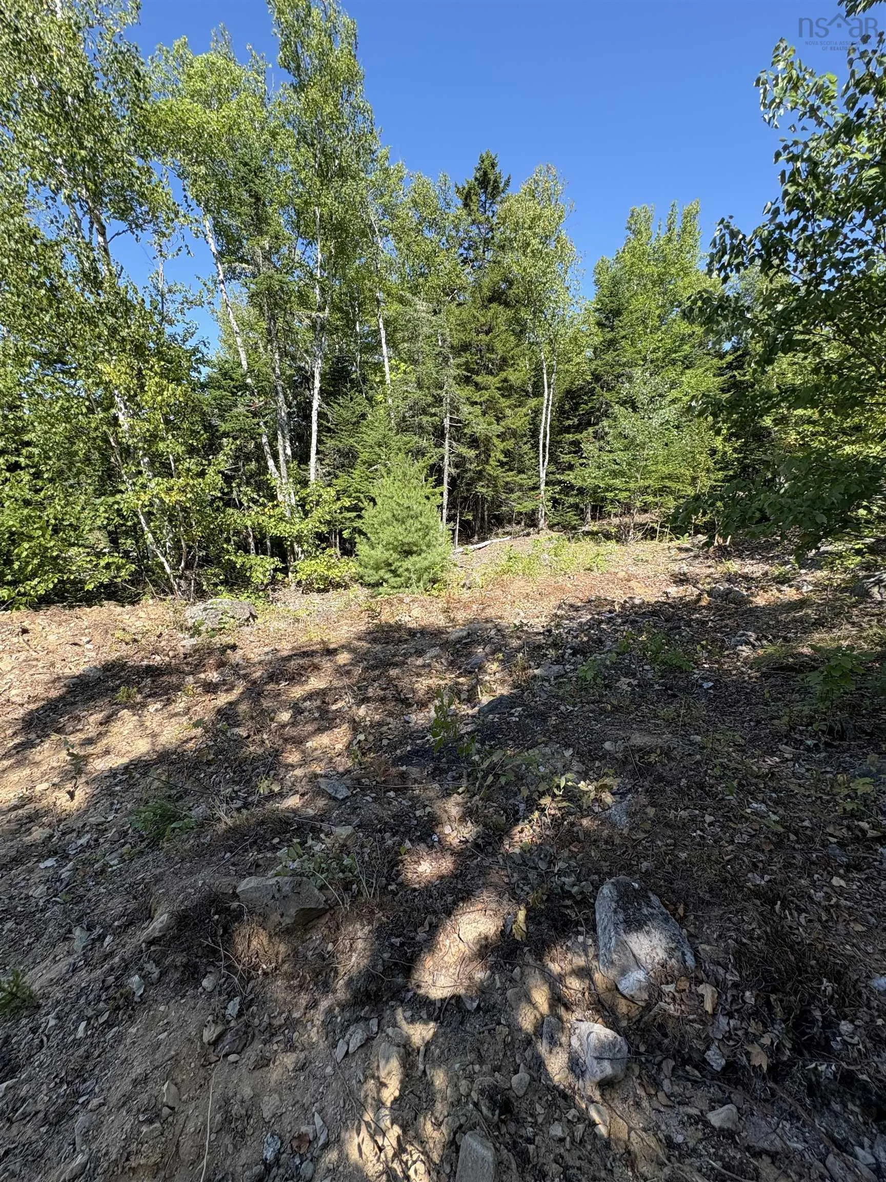 Osprey Ridge Road, Vaughan, NS B0N 2T0, ,Land,For Sale,Osprey Ridge,202520975