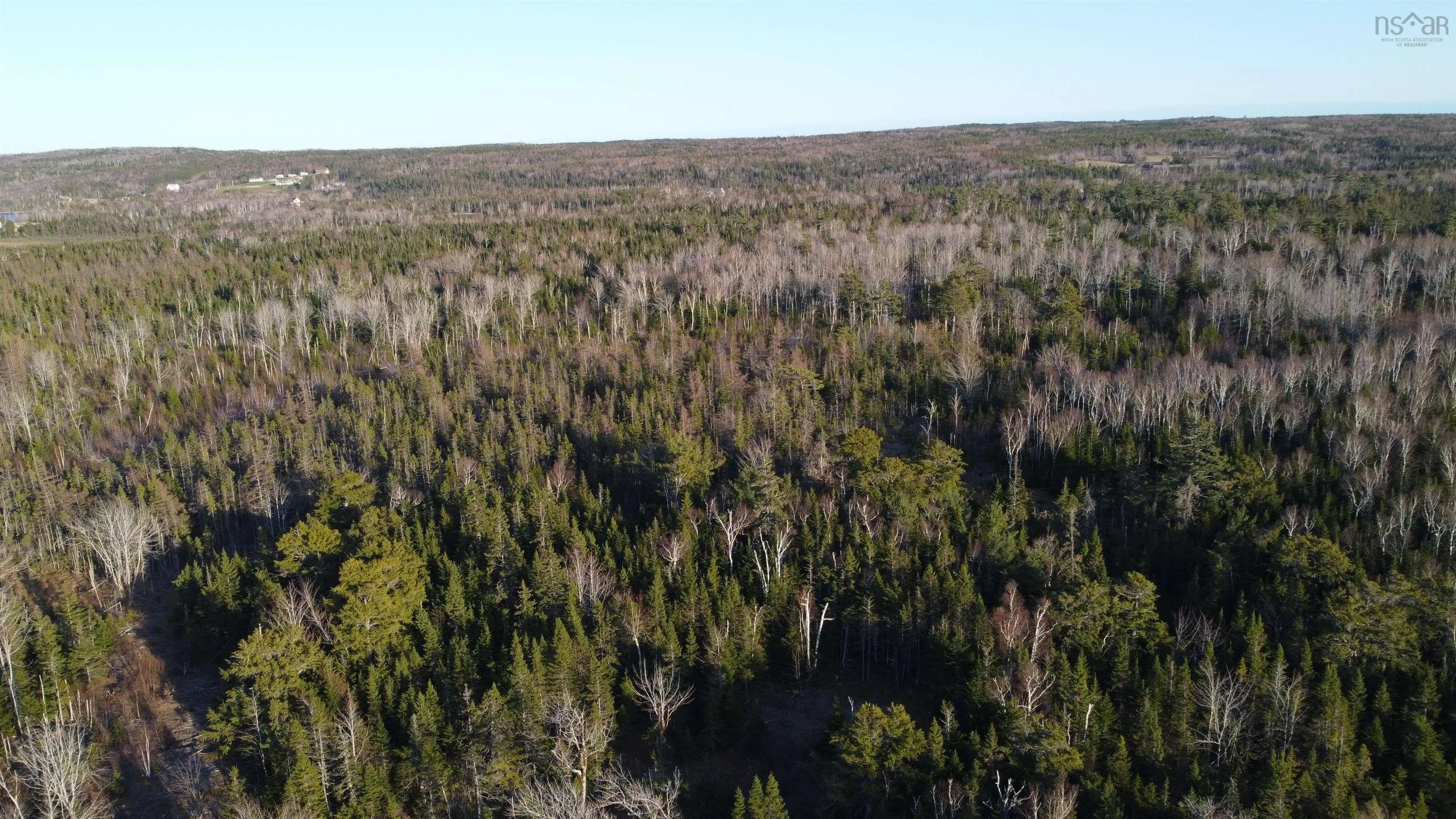 Shieling Drive Lot 24, Marion Bridge Ns B1k 0b3, ,Land,For Sale,Shieling,202424582