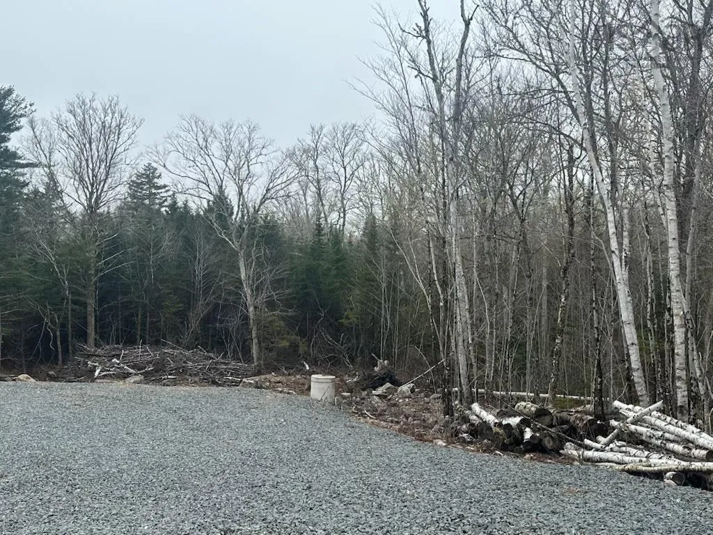 Lot 49 Turner Point Drive, Walden, NS B0J 2E0, ,Land,For Sale,Turner Point,202518411
