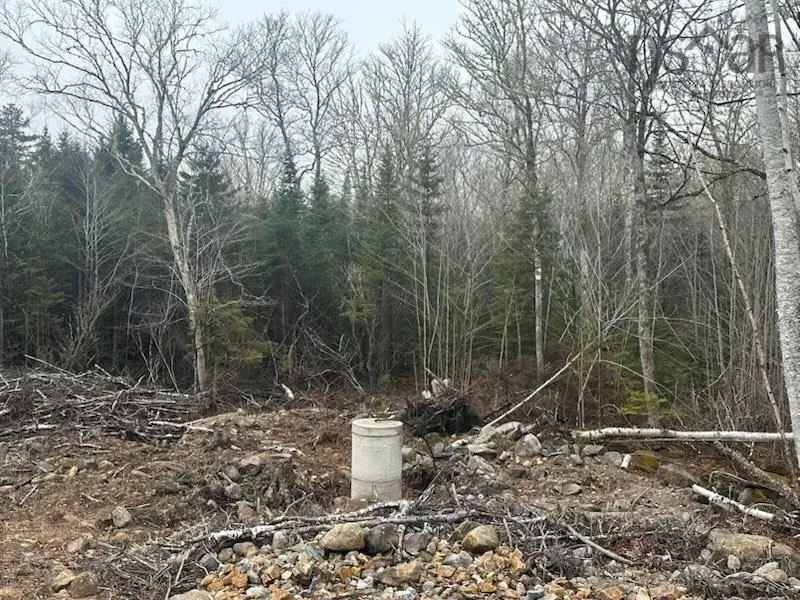 Lot 49 Turner Point Drive, Walden, NS B0J 2E0, ,Land,For Sale,Turner Point,202518411