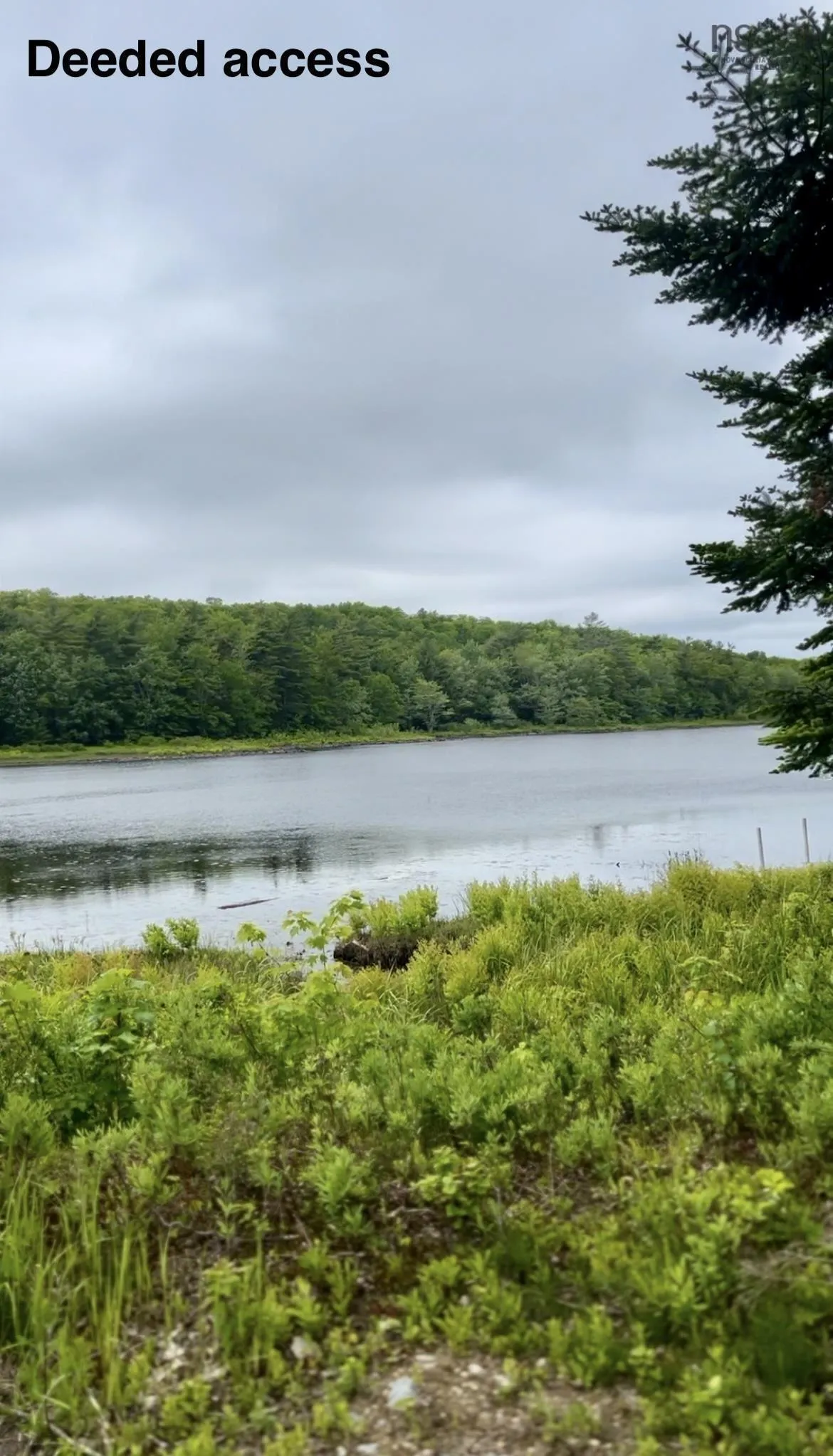 Lot 49 Turner Point Drive, Walden, NS B0J 2E0, ,Land,For Sale,Turner Point,202518411