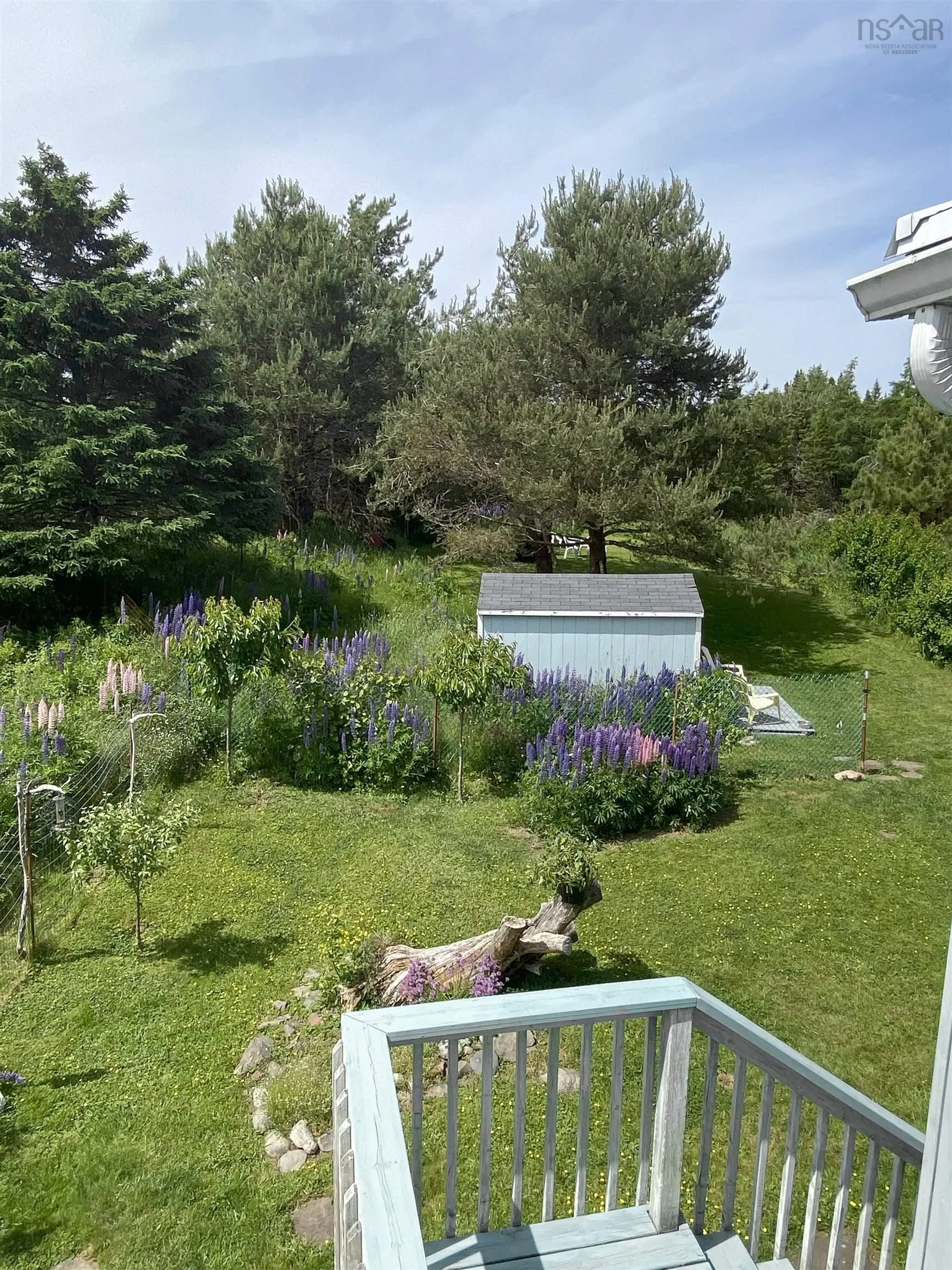 320-3067 Highway 320, Descousse, NS B0E 1K0, 3 Bedrooms Bedrooms, ,3 BathroomsBathrooms,Residential,For Sale,320,202516261