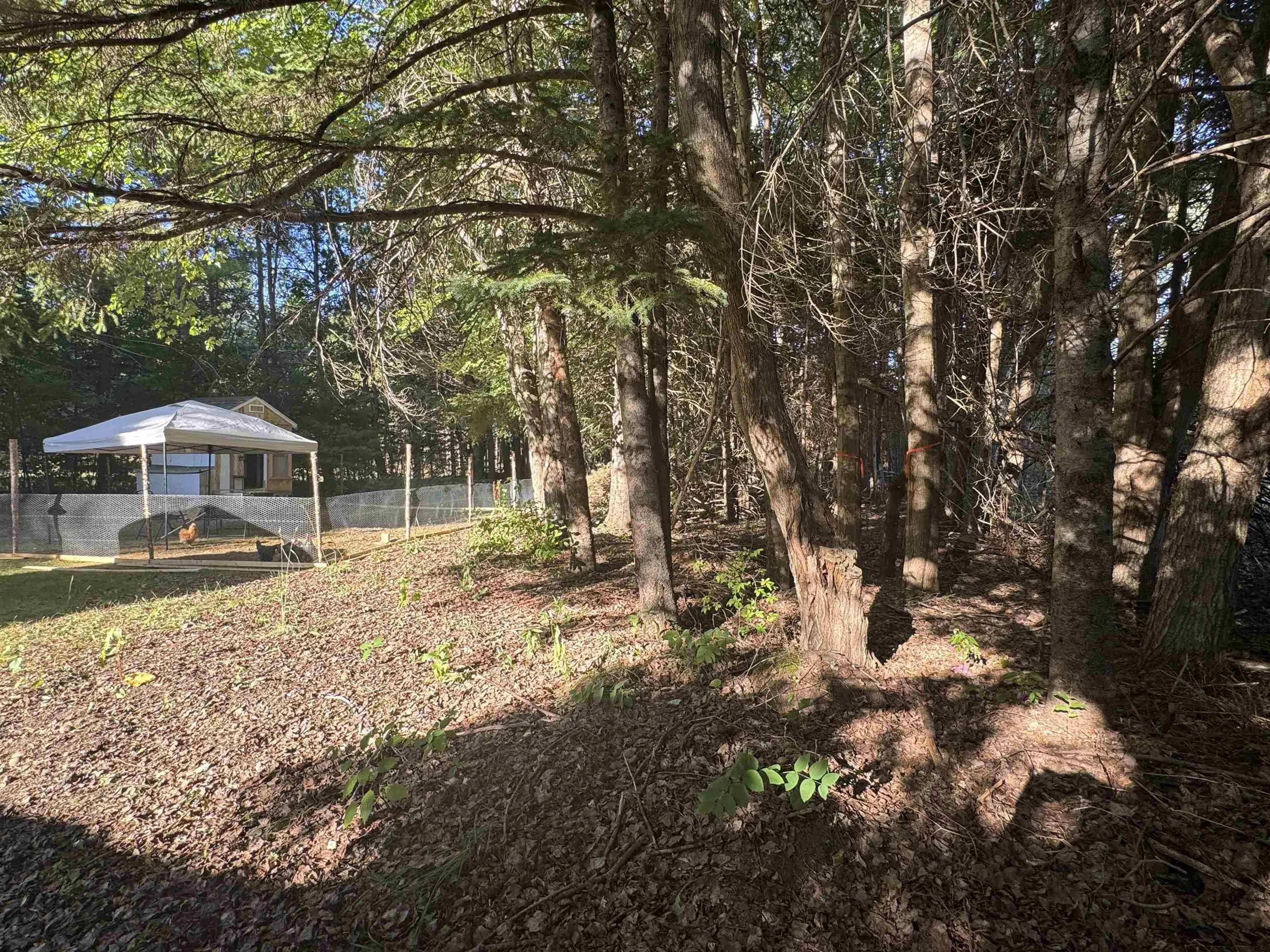 1516 Marshall Road, Kingston, NS B0P 1R0, 2 Bedrooms Bedrooms, ,2 BathroomsBathrooms,Residential,For Sale,Marshall,202521444