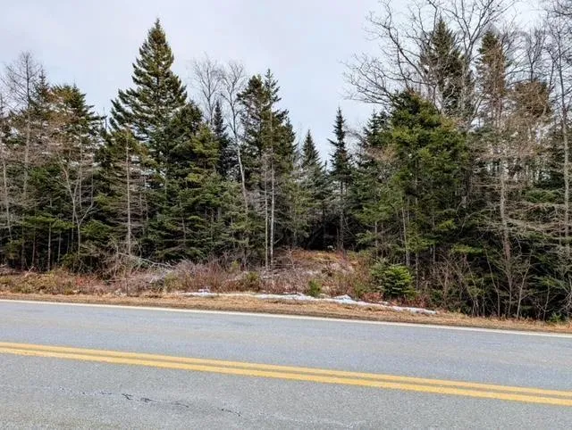 F3 Highway 331, Petite Rivière, NS B0J 1K3, ,Land,For Sale,Highway 331,202519734