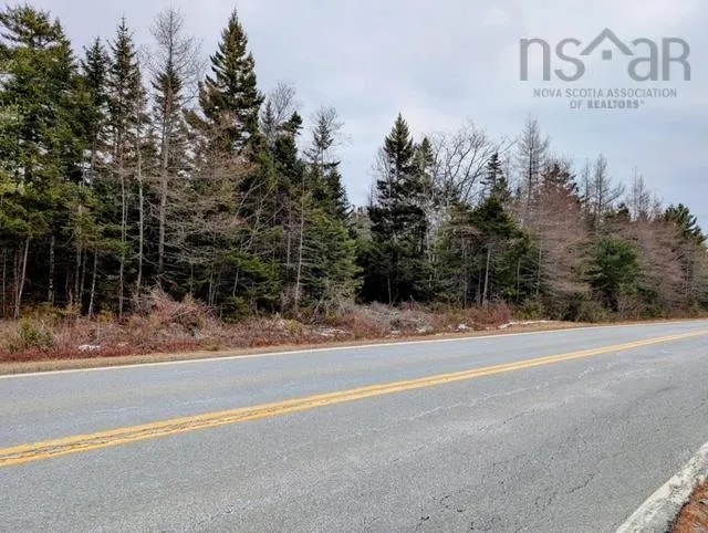 F3 Highway 331, Petite Rivière, NS B0J 1K3, ,Land,For Sale,Highway 331,202519734