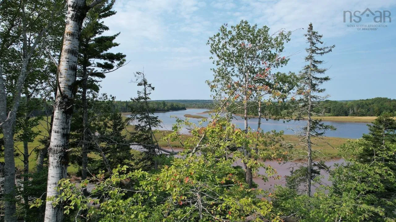 24-5 Highway 321 Highway, Roslin Ns B0m 1p0, ,Land,For Sale,Highway 321,202422966