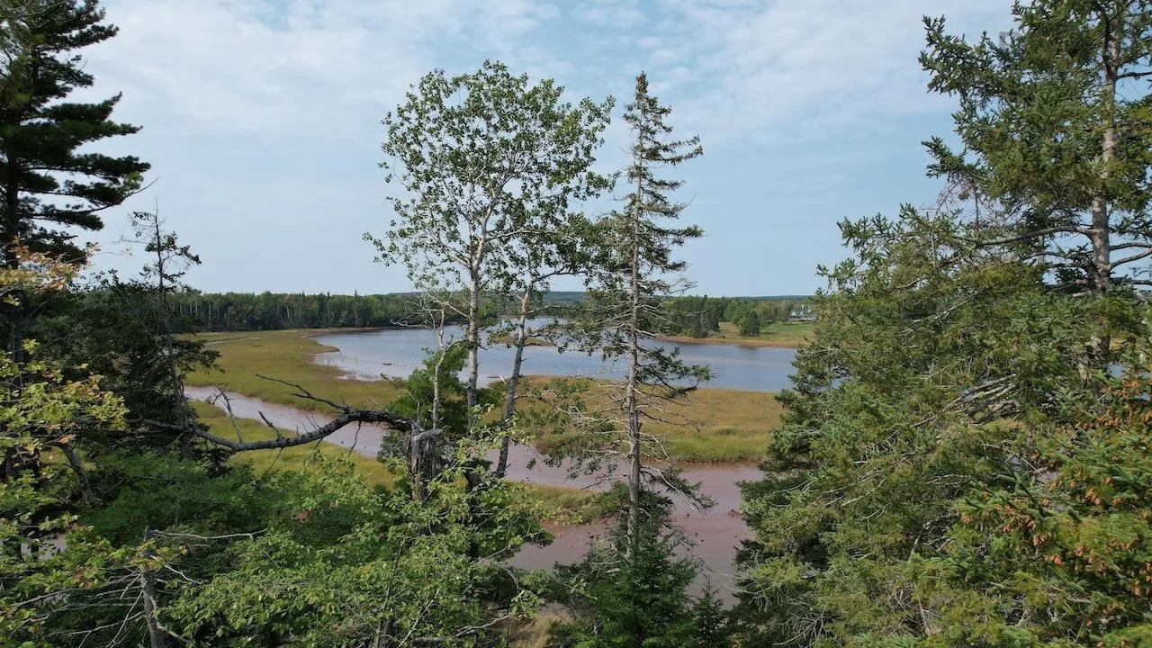 24-5 Highway 321 Highway, Roslin Ns B0m 1p0, ,Land,For Sale,Highway 321,202422966