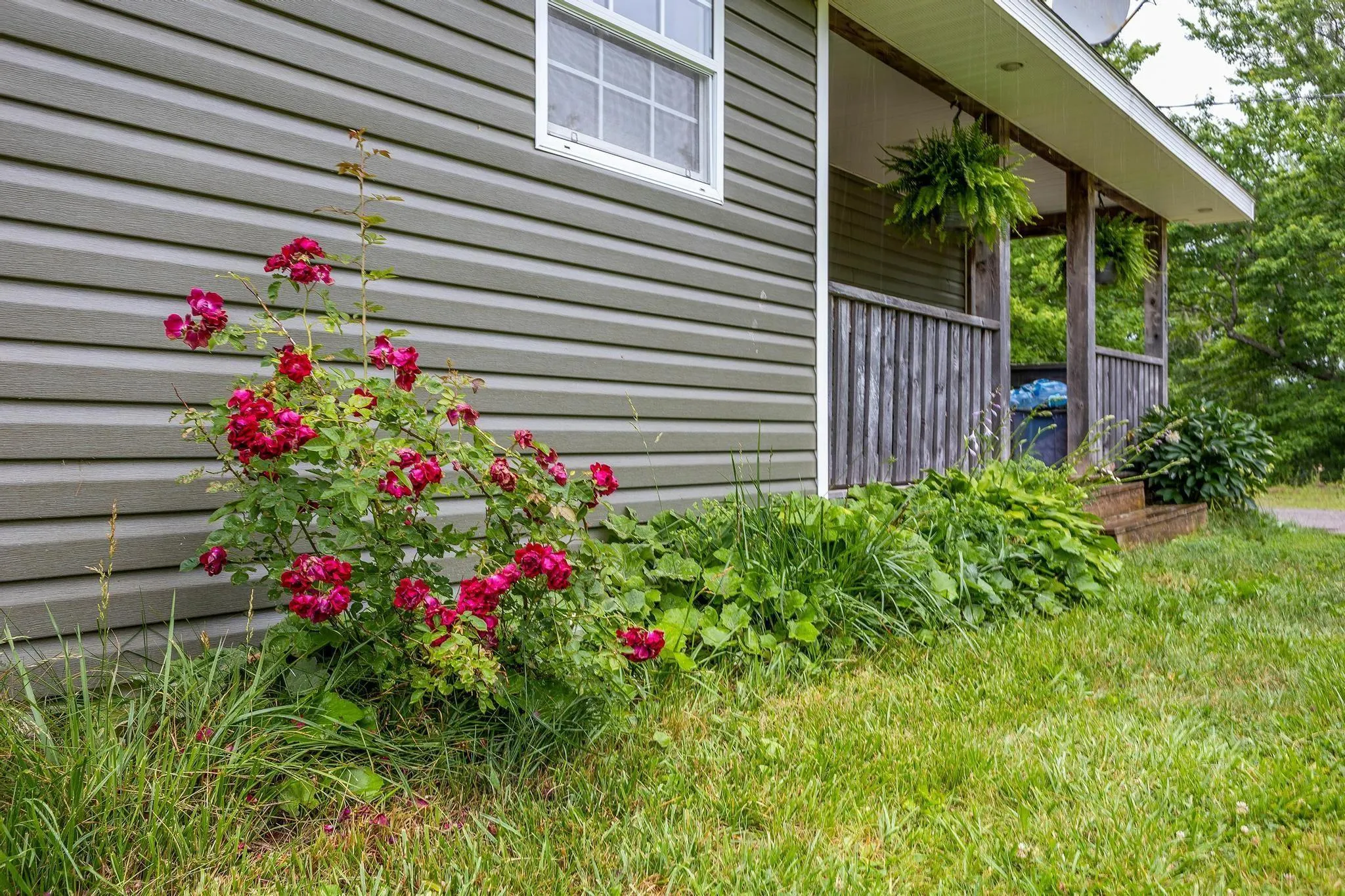 2307 Scotsburn Road, Plainfield, NS B0K 1R0, 2 Bedrooms Bedrooms, ,1 BathroomBathrooms,Residential,For Sale,Scotsburn,202516947