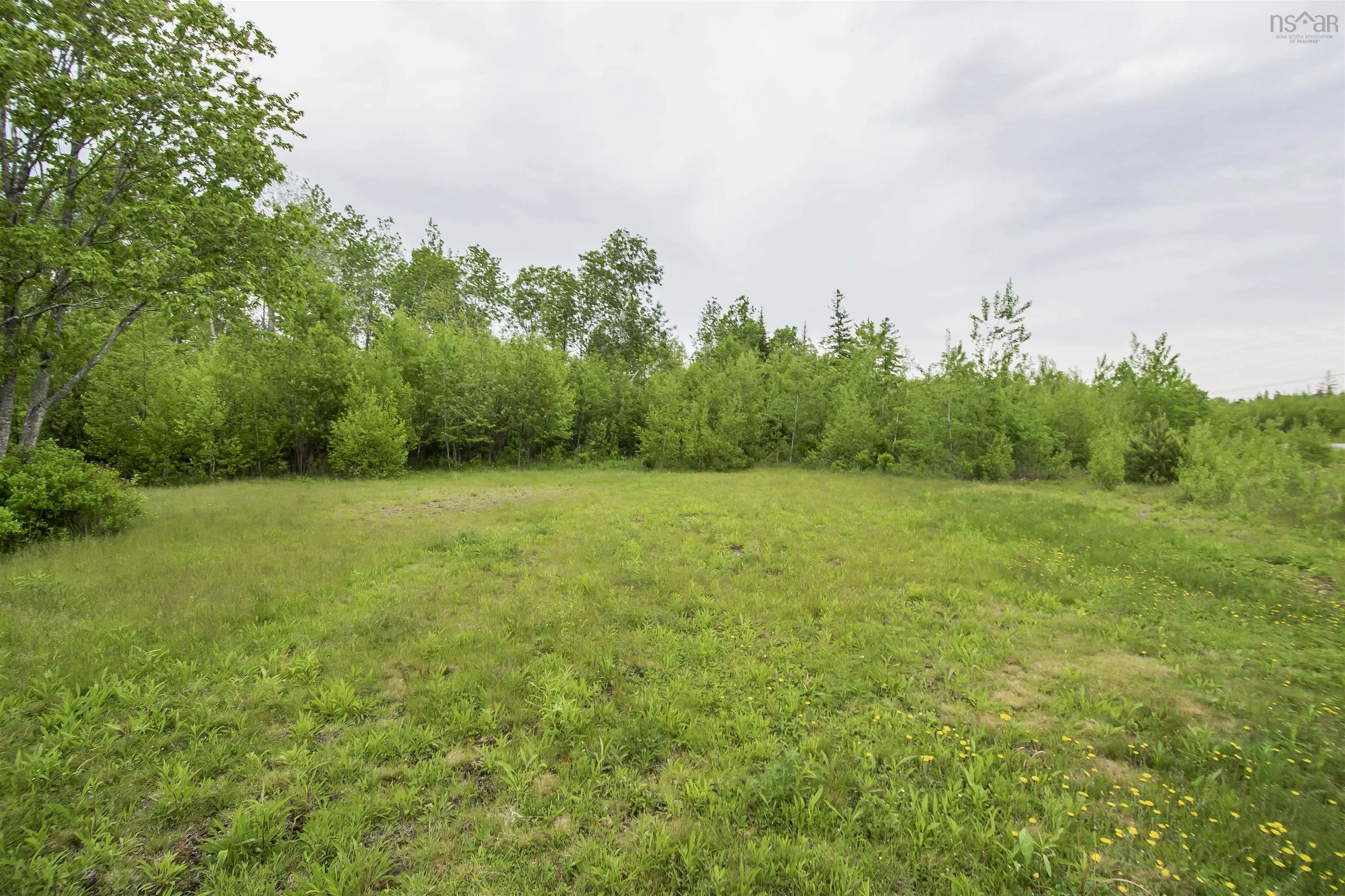 Lot 4a Marsh Road, Coalburn, NS B2H 5C7, ,Land,For Sale,Marsh,202521231