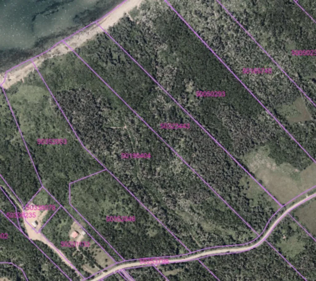 Broadcove Banks Road, Inverness, NS B0E 1N0, ,Land,For Sale,Broadcove Banks,202522408