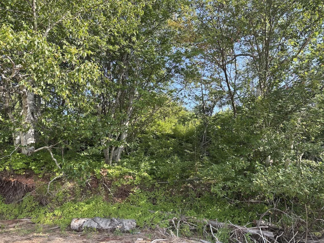 9372 Highway 6 Highway, Pugwash, NS B0K 1L0, 4 Bedrooms Bedrooms, ,2 BathroomsBathrooms,Residential,For Sale,Highway 6,202518592