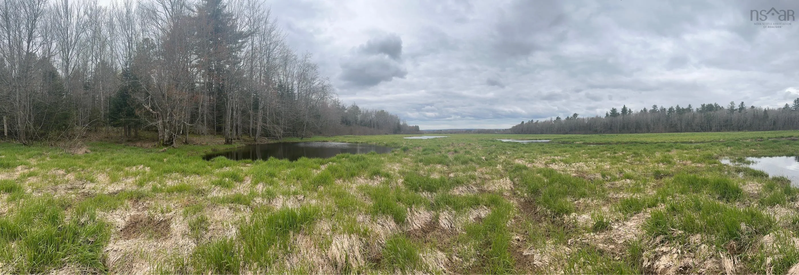 Park Street, Kentville Ns B4n 5h3, ,Land,For Sale,Park,202416916