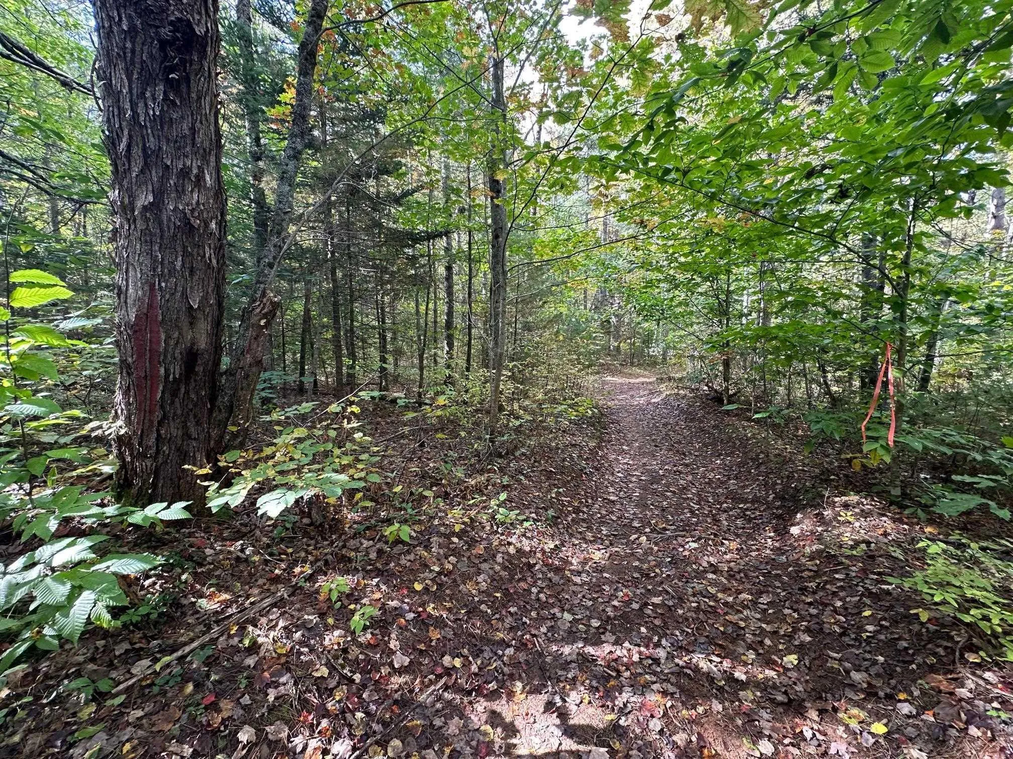 Park Street, Kentville Ns B4n 5h3, ,Land,For Sale,Park,202416916