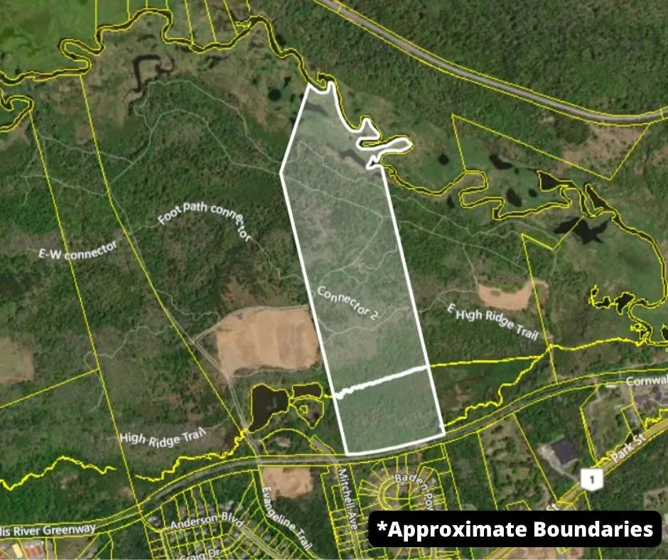 Park Street, Kentville Ns B4n 5h3, ,Land,For Sale,Park,202416916
