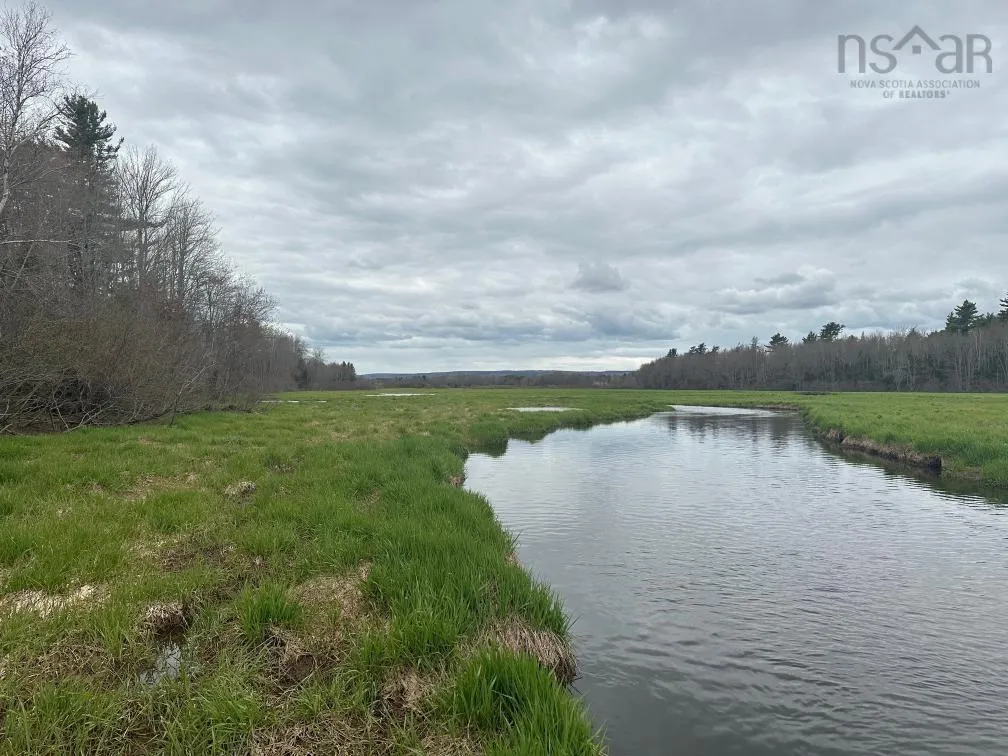Park Street, Kentville Ns B4n 5h3, ,Land,For Sale,Park,202416916