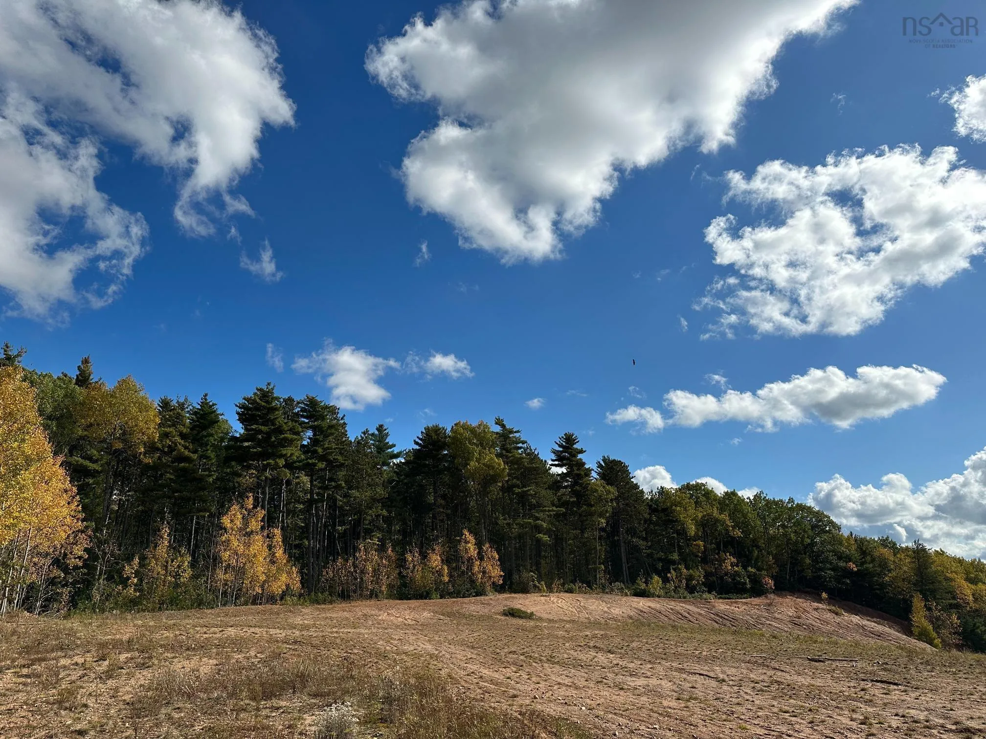 Park Street, Kentville Ns B4n 5h3, ,Land,For Sale,Park,202416916