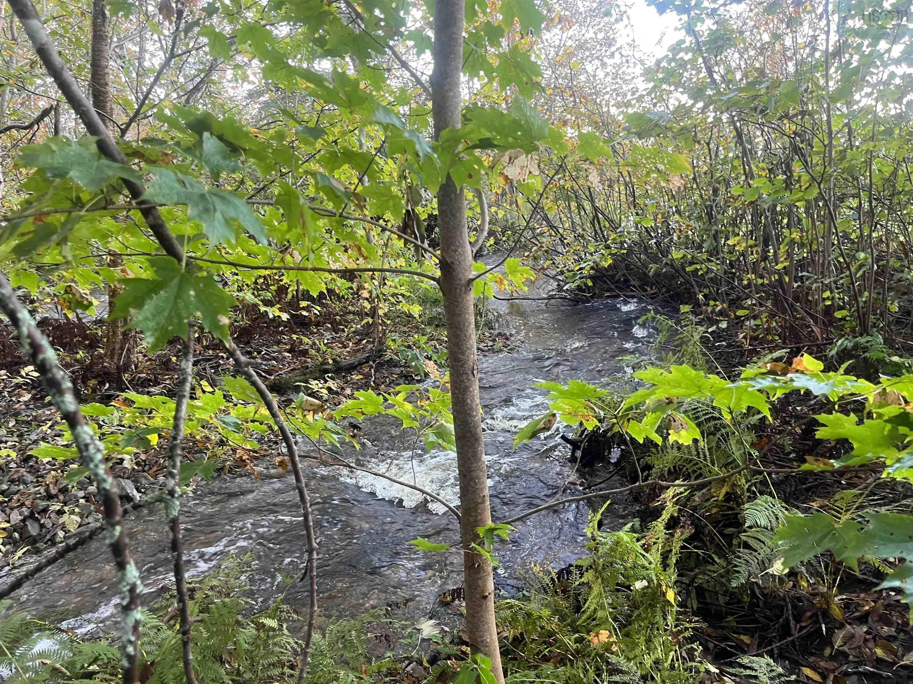 Lot Highway 4, Big Pond NS B1J 1Z4, ,Land,For Sale,Highway 4,202321522