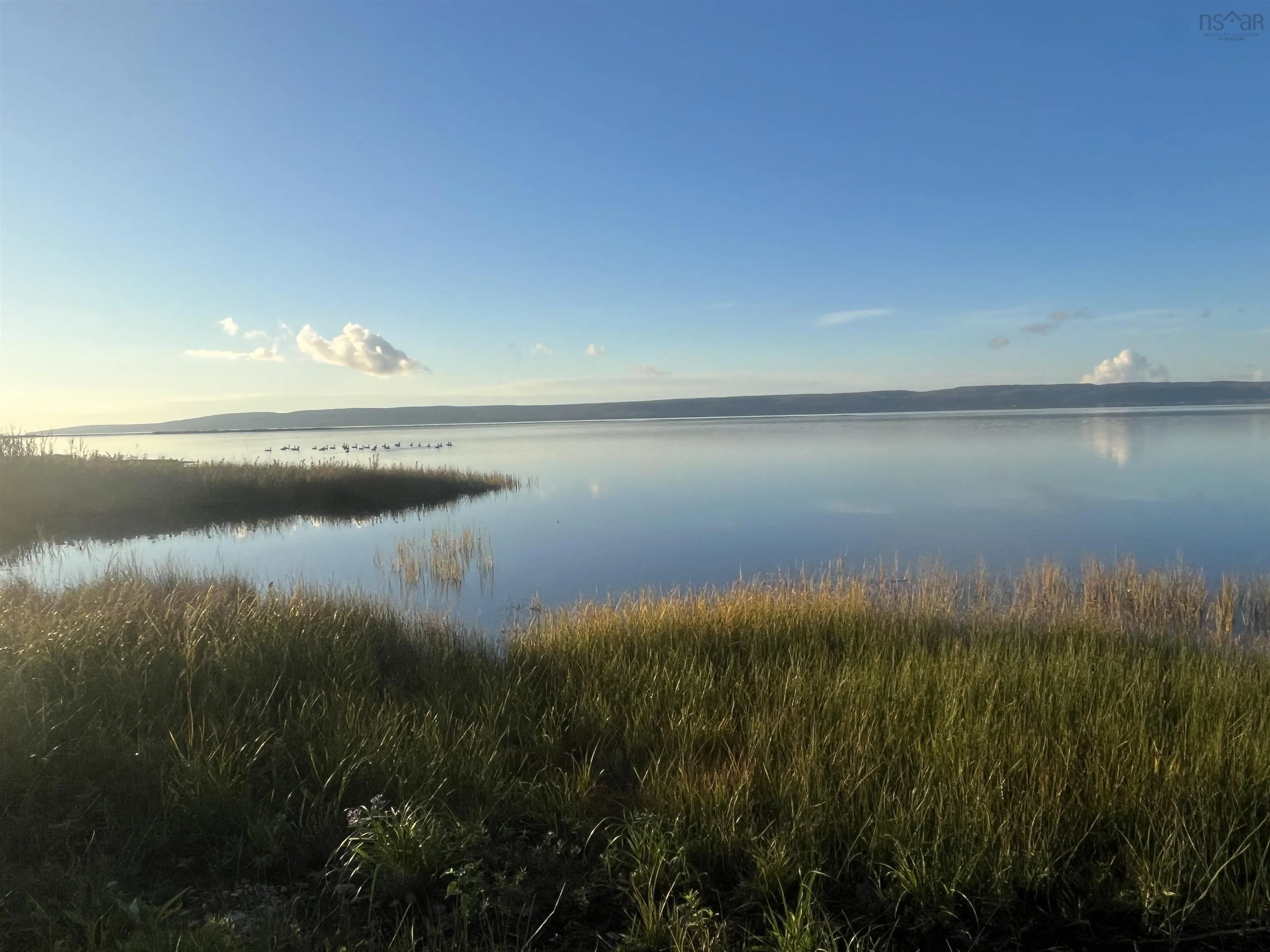 Lot Highway 4, Big Pond NS B1J 1Z4, ,Land,For Sale,Highway 4,202321522