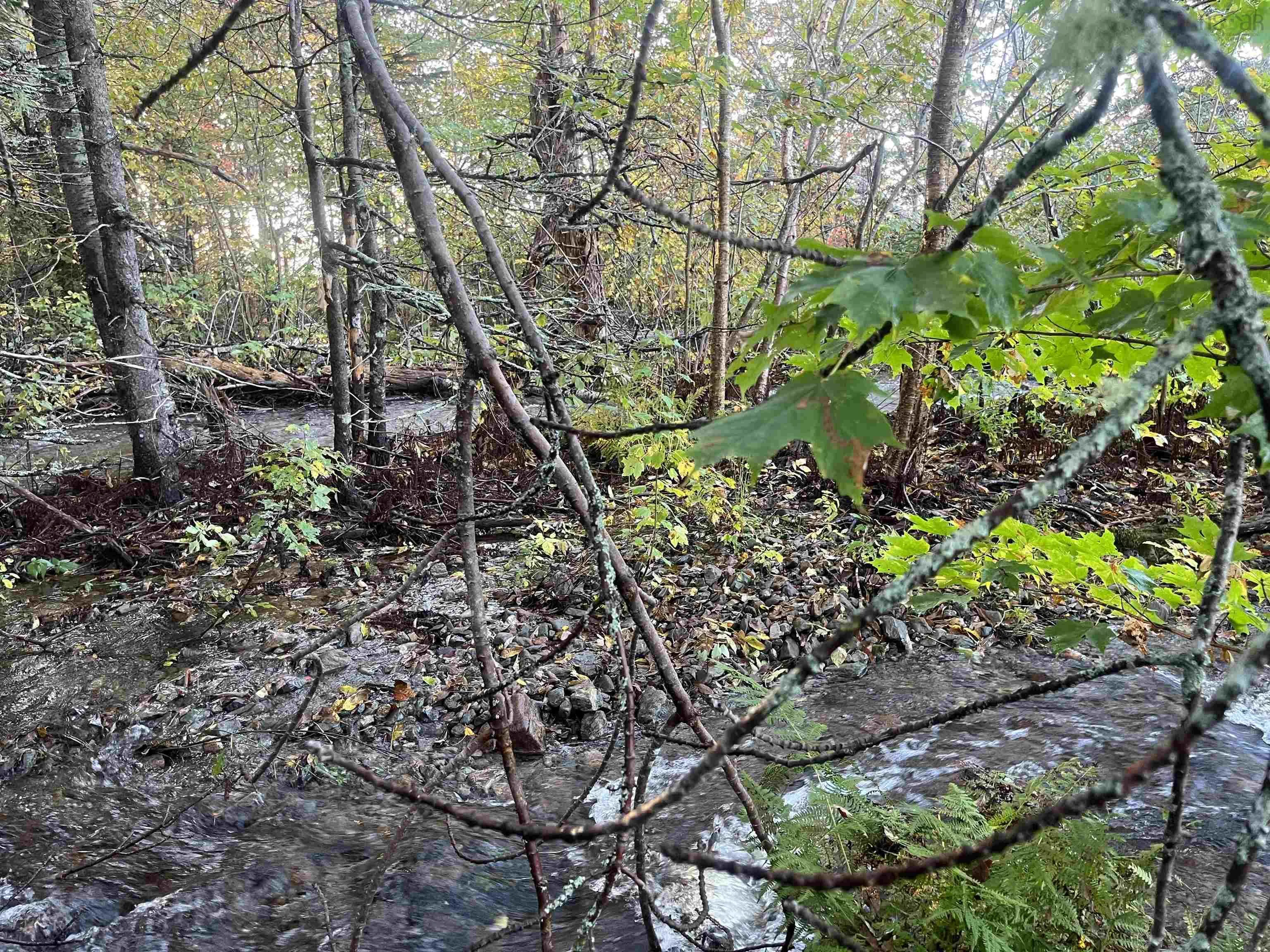 Lot Highway 4, Big Pond NS B1J 1Z4, ,Land,For Sale,Highway 4,202321522