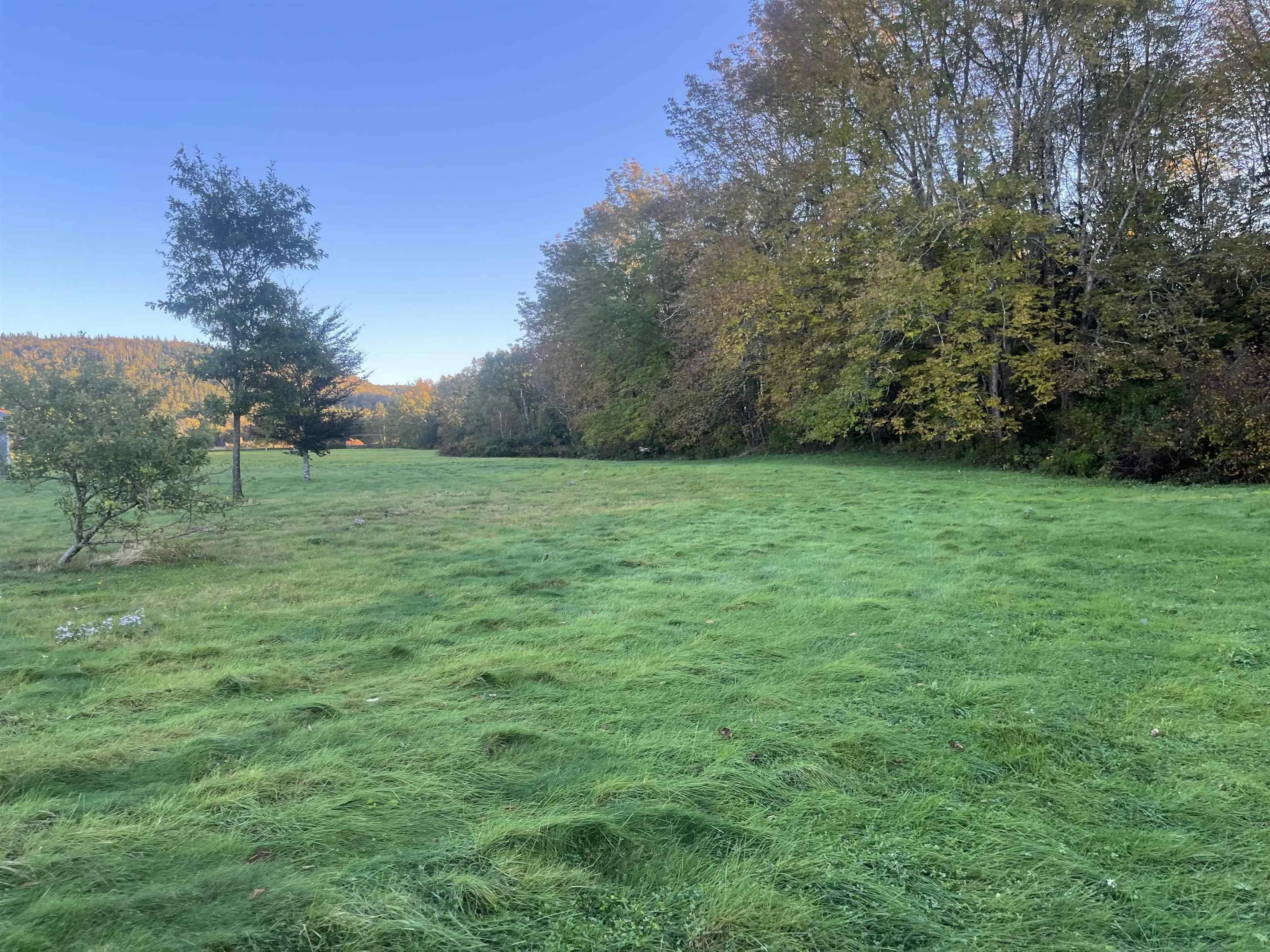 Lot Highway 4, Big Pond NS B1J 1Z4, ,Land,For Sale,Highway 4,202321522