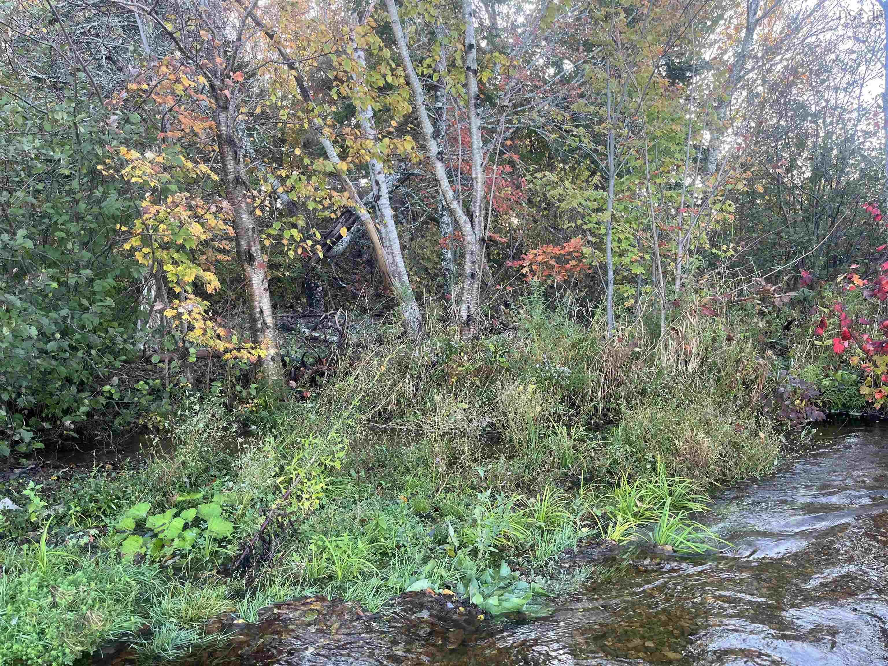 Lot Highway 4, Big Pond NS B1J 1Z4, ,Land,For Sale,Highway 4,202321522