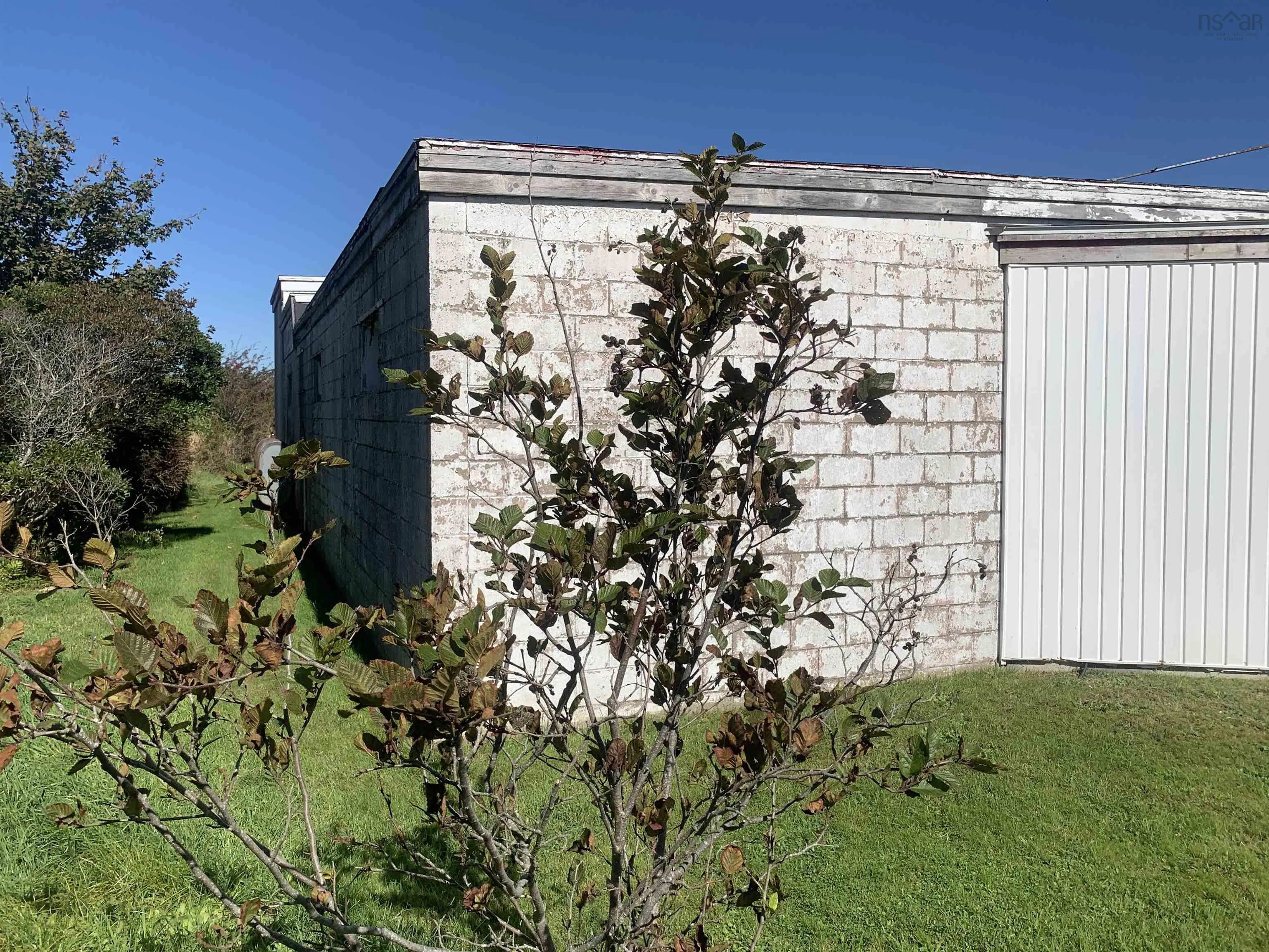 144 Haley Road, Yarmouth, NS B5A 0A5, ,Commercial Sale,For Sale,Haley,202524815