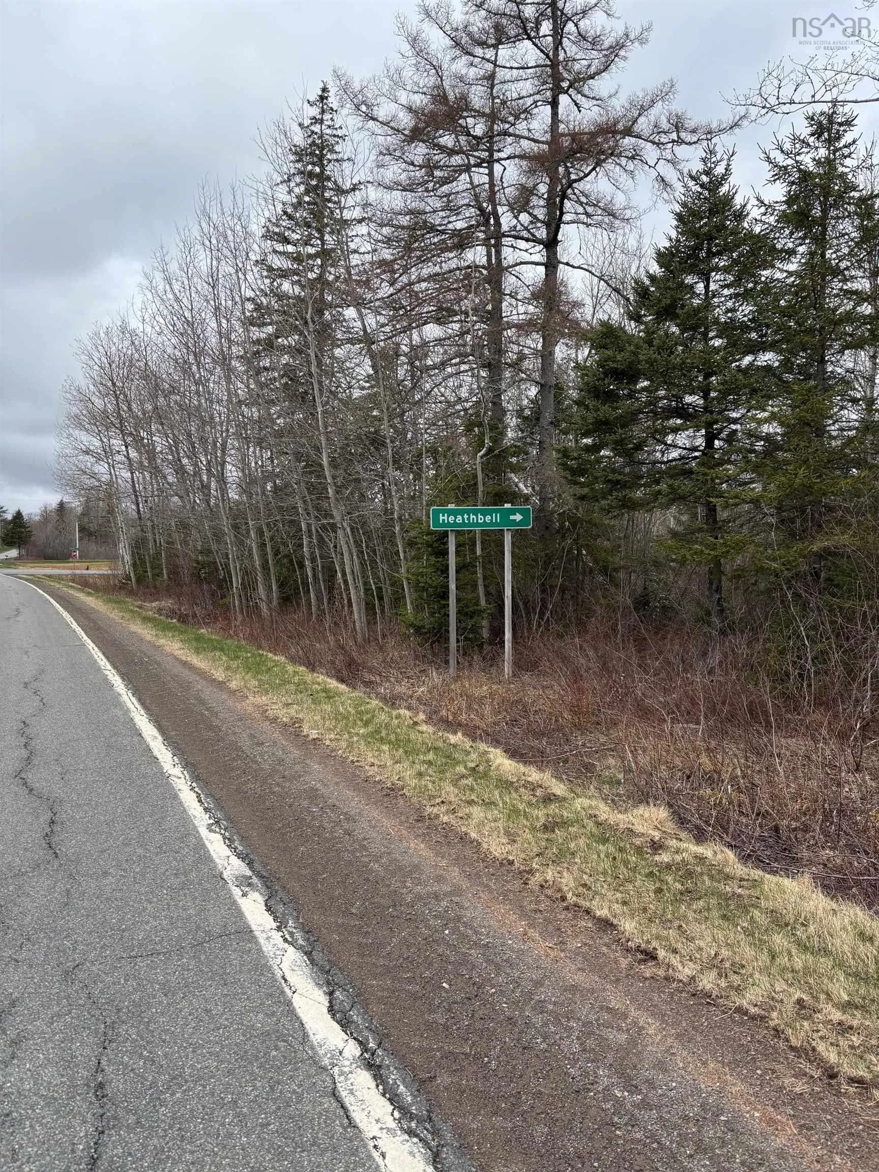 Heathbell Road, Scotsburn Ns B0k 1r0, ,Land,For Sale,Heathbell,202508772