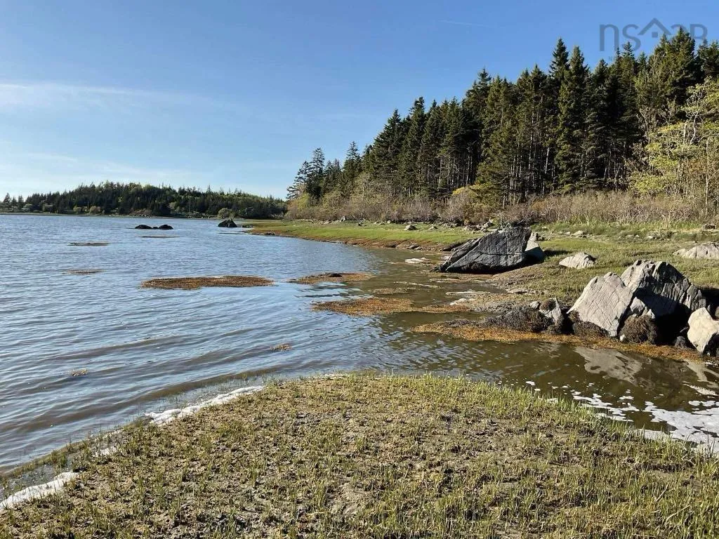 Lot Highway 308, Morris Island Ns B0w 3m0, ,Land,For Sale,Highway 308,202500345