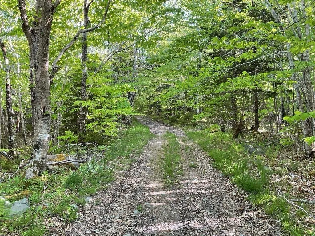 Lot Highway 308, Morris Island Ns B0w 3m0, ,Land,For Sale,Highway 308,202500345