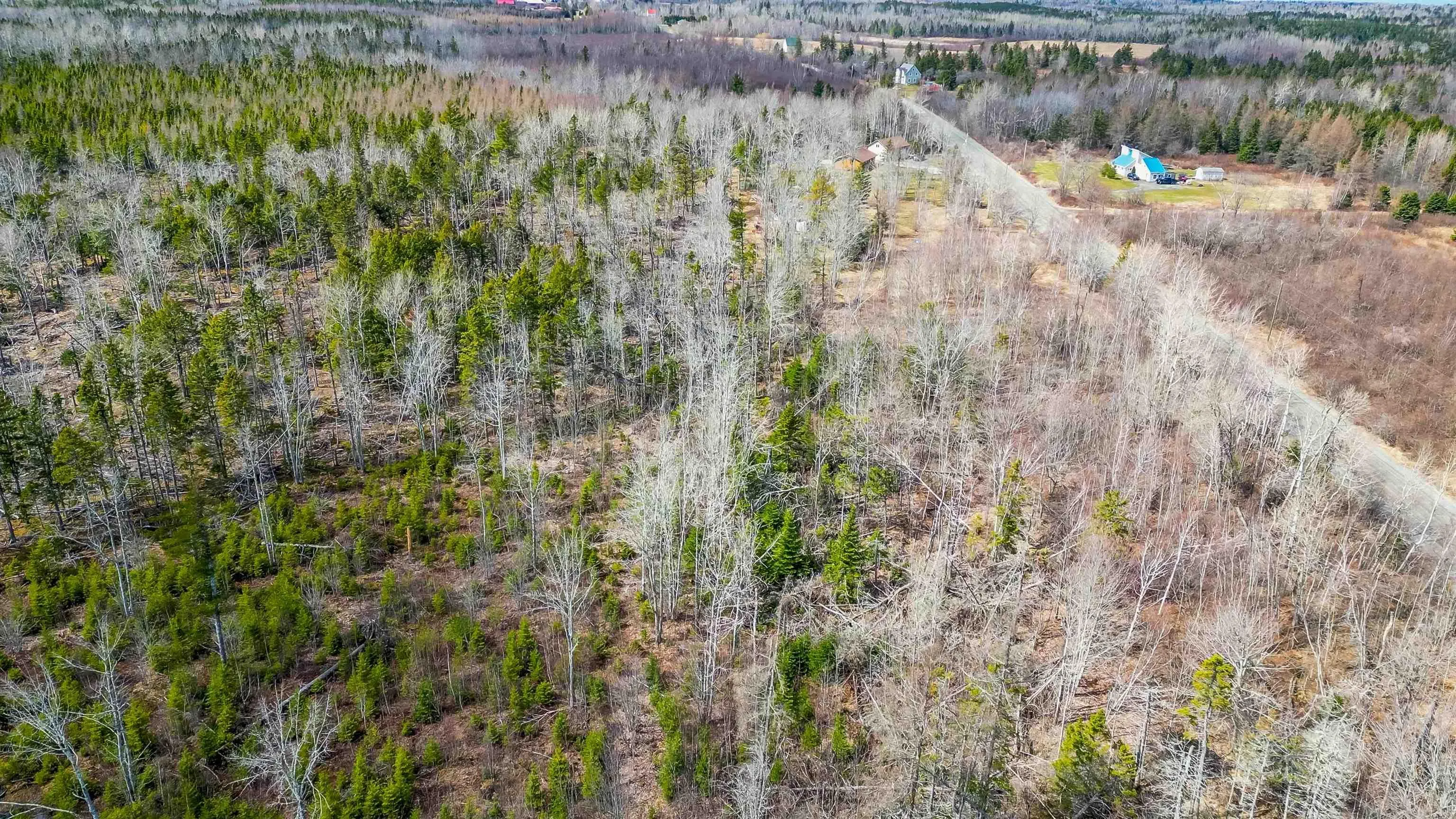 94-3 Miller Road, Wallace Bay Ns B0k 1l0, ,Land,For Sale,94-3 Miller,202506982