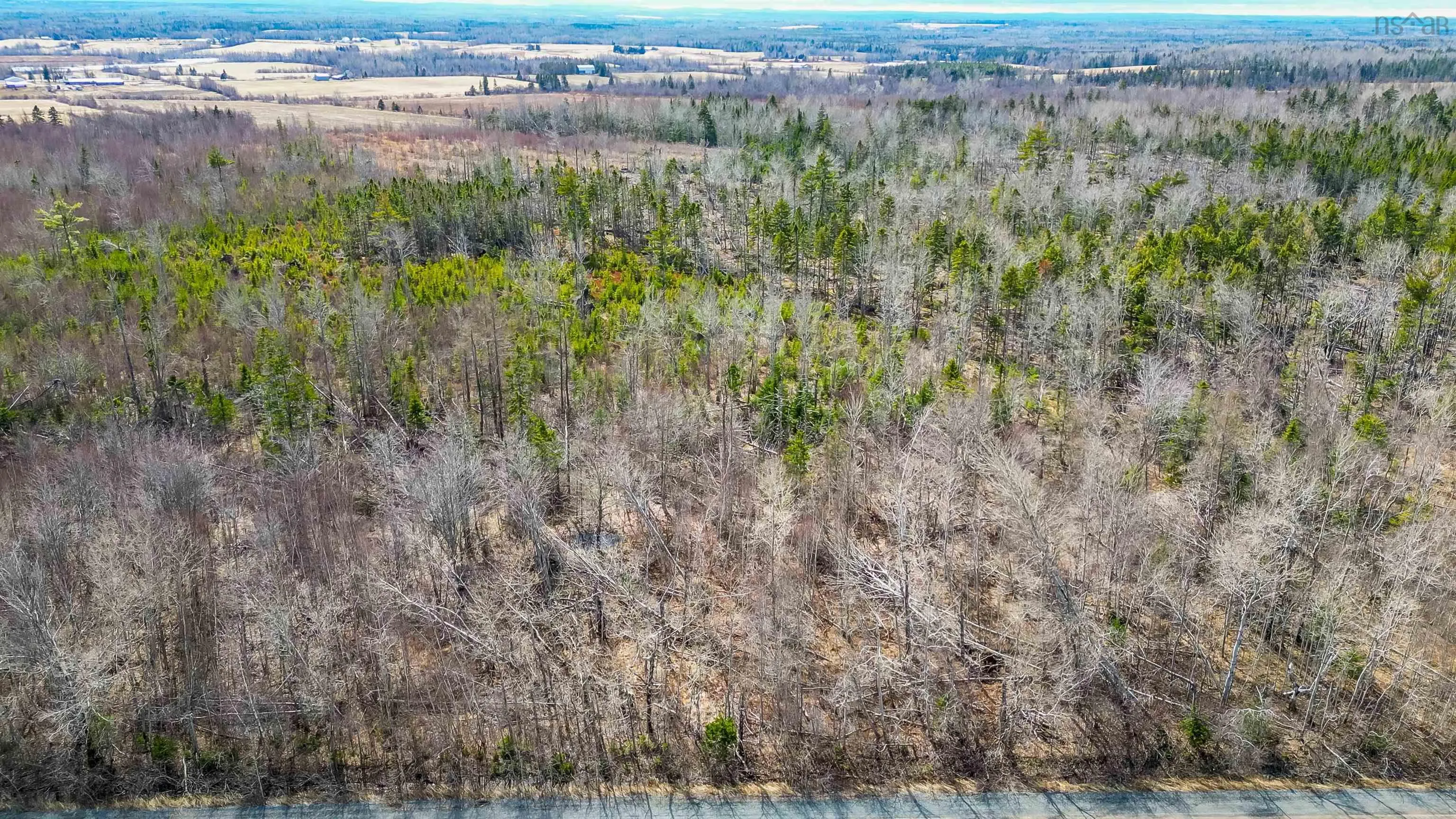 94-3 Miller Road, Wallace Bay Ns B0k 1l0, ,Land,For Sale,94-3 Miller,202506982