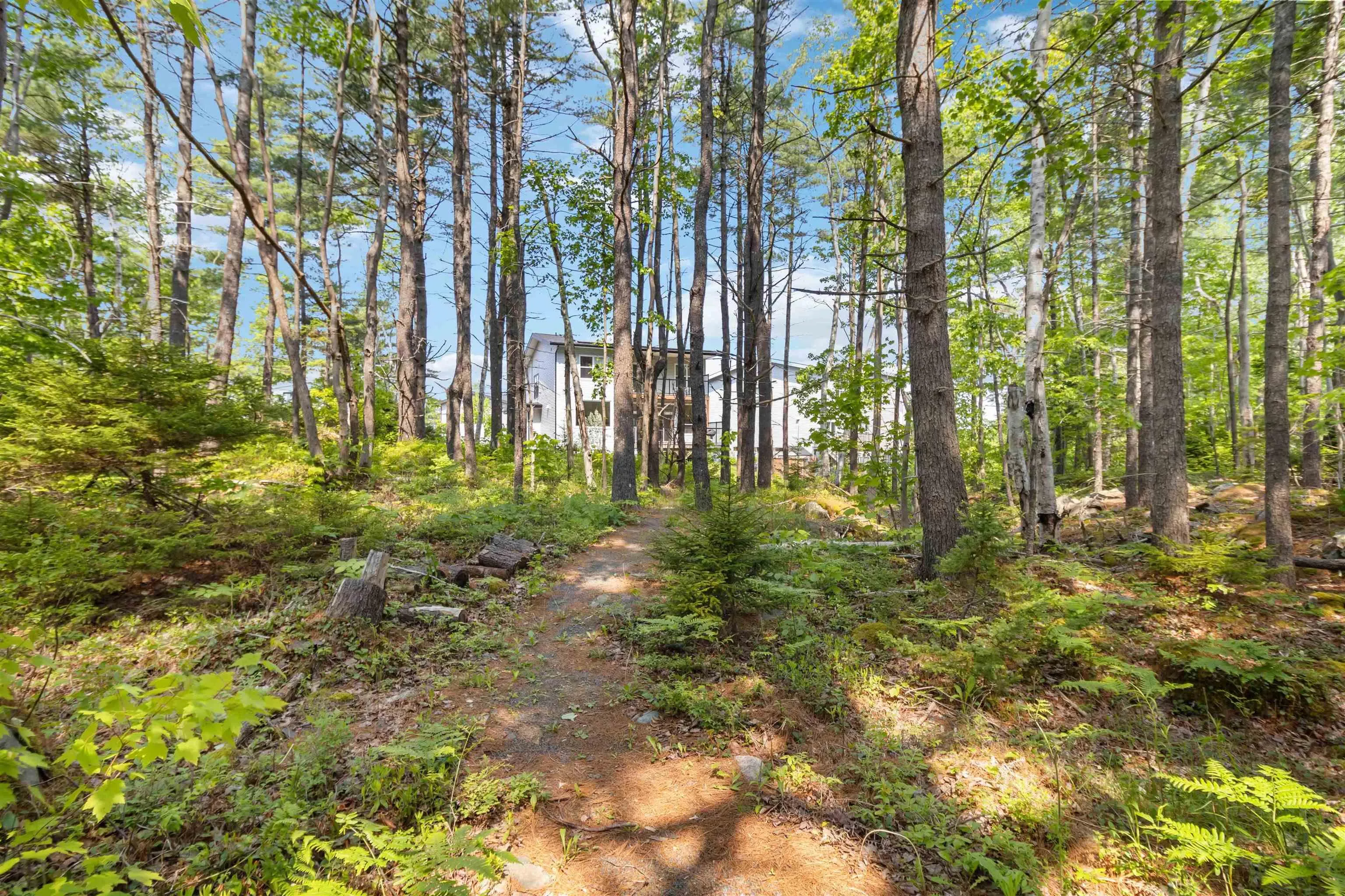 216 Amesbury Gate, Bedford, NS B4B 0S7, 5 Bedrooms Bedrooms, ,5 BathroomsBathrooms,Residential,For Sale,Amesbury Gate,202519864