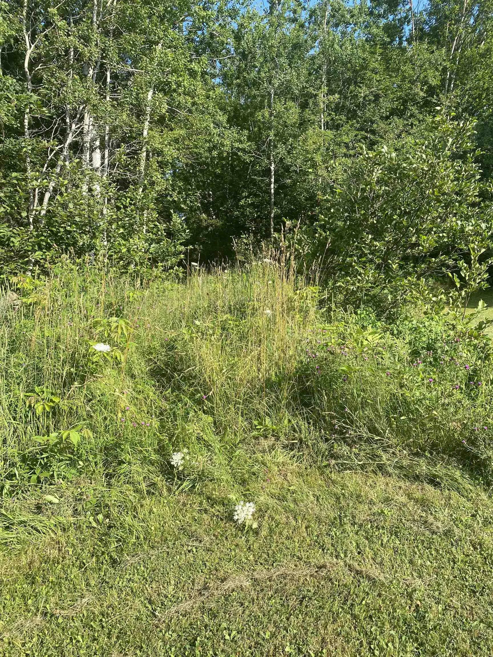 0 Georges River Road, Georges River Ns B1y 3k1, ,Land,For Sale,Georges River Road,202417869