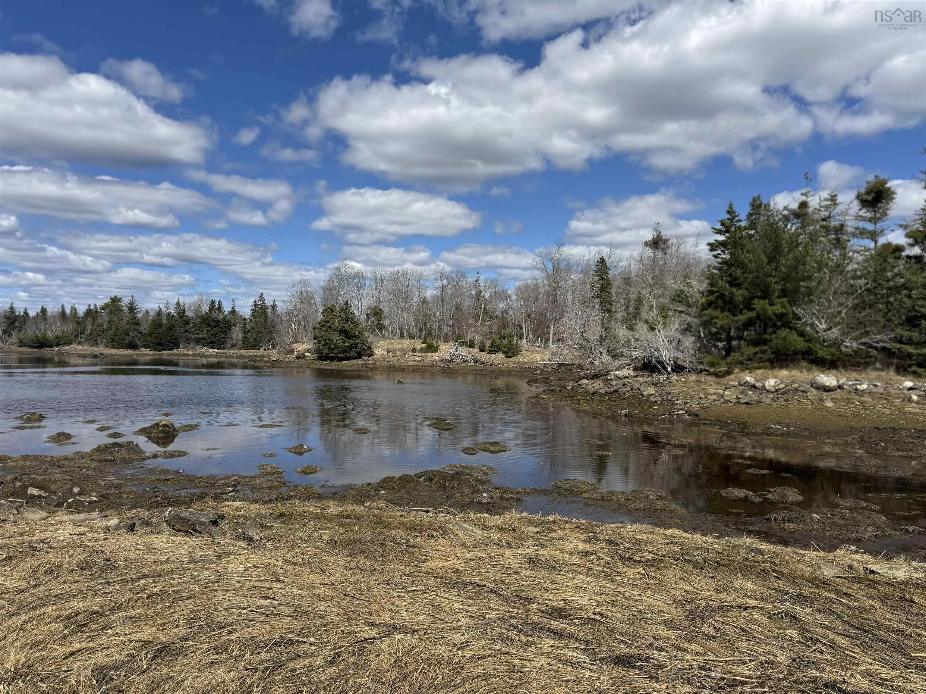 & Island Indian Point Road Lot 17, East Port Medway Ns B0j 2h0, ,Land,For Sale,& Island Indian Point,202508661