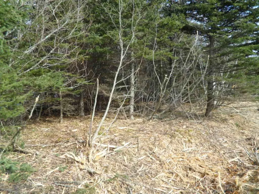 1v Highway 224, Elmsvale Ns B0n 1x0, ,Land,For Sale,Highway 224,202303911