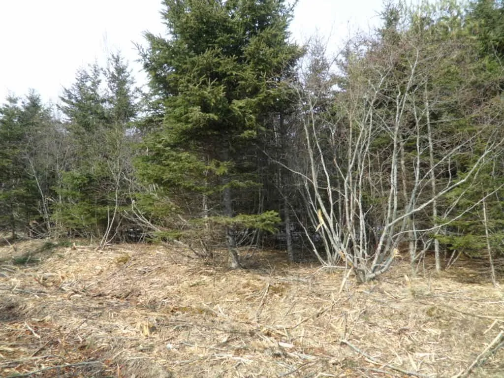 1v Highway 224, Elmsvale Ns B0n 1x0, ,Land,For Sale,Highway 224,202303911