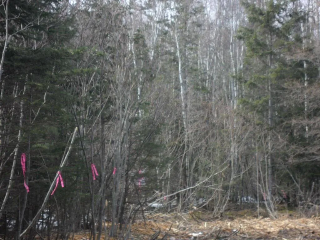 1v Highway 224, Elmsvale Ns B0n 1x0, ,Land,For Sale,Highway 224,202303911