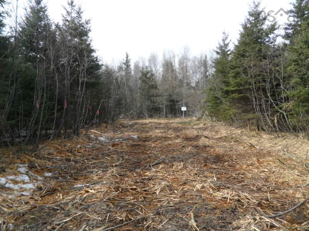 1v Highway 224, Elmsvale Ns B0n 1x0, ,Land,For Sale,Highway 224,202303911
