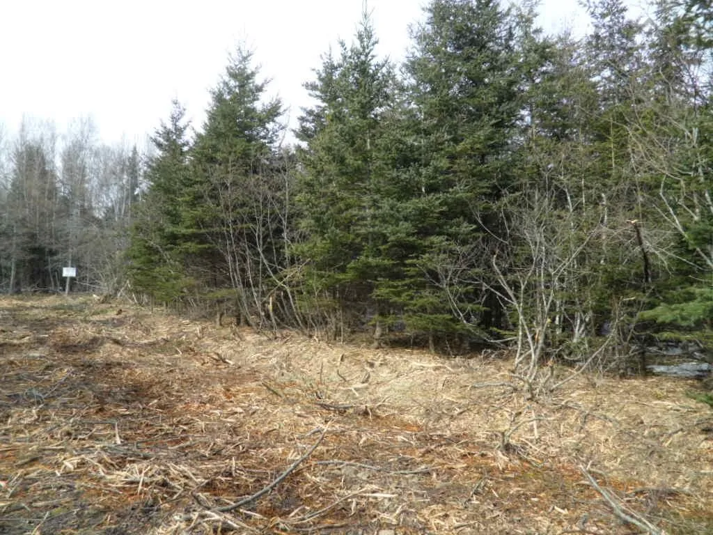 1v Highway 224, Elmsvale Ns B0n 1x0, ,Land,For Sale,Highway 224,202303911
