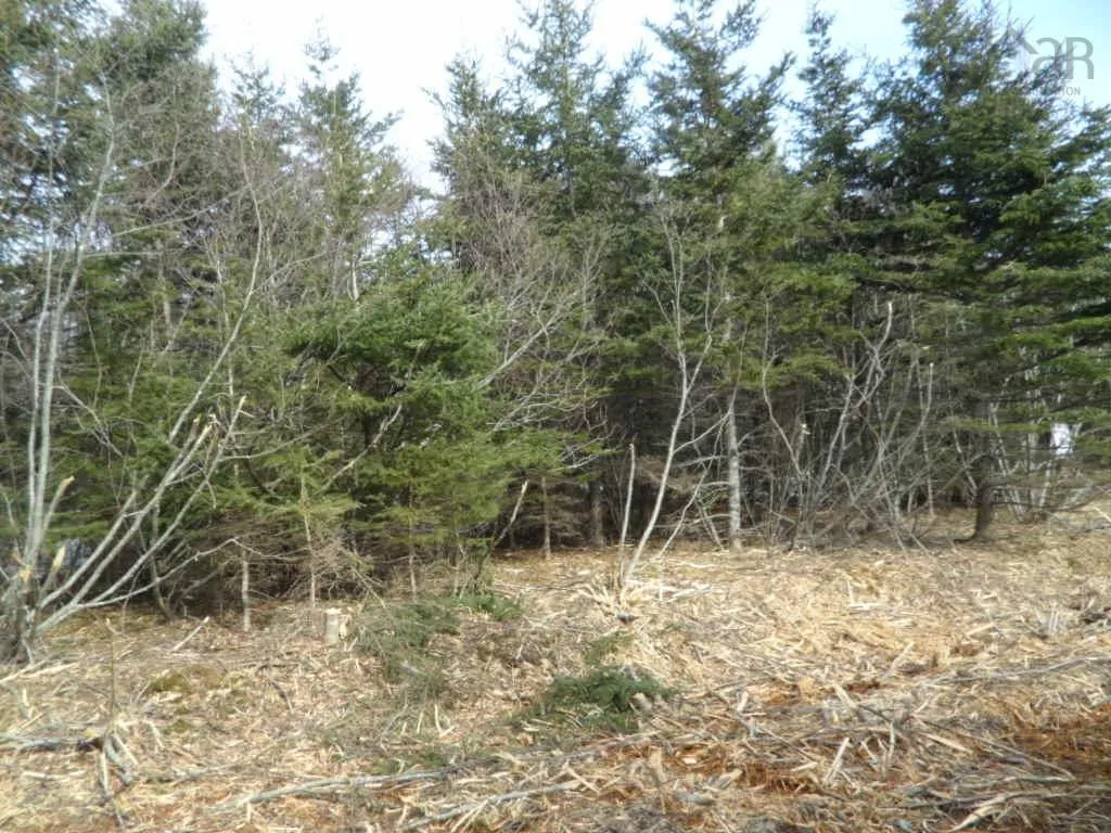 1v Highway 224, Elmsvale Ns B0n 1x0, ,Land,For Sale,Highway 224,202303911