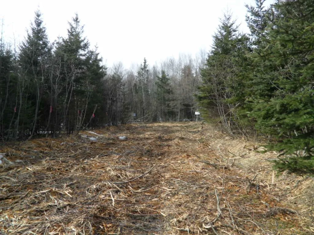 1v Highway 224, Elmsvale Ns B0n 1x0, ,Land,For Sale,Highway 224,202303911