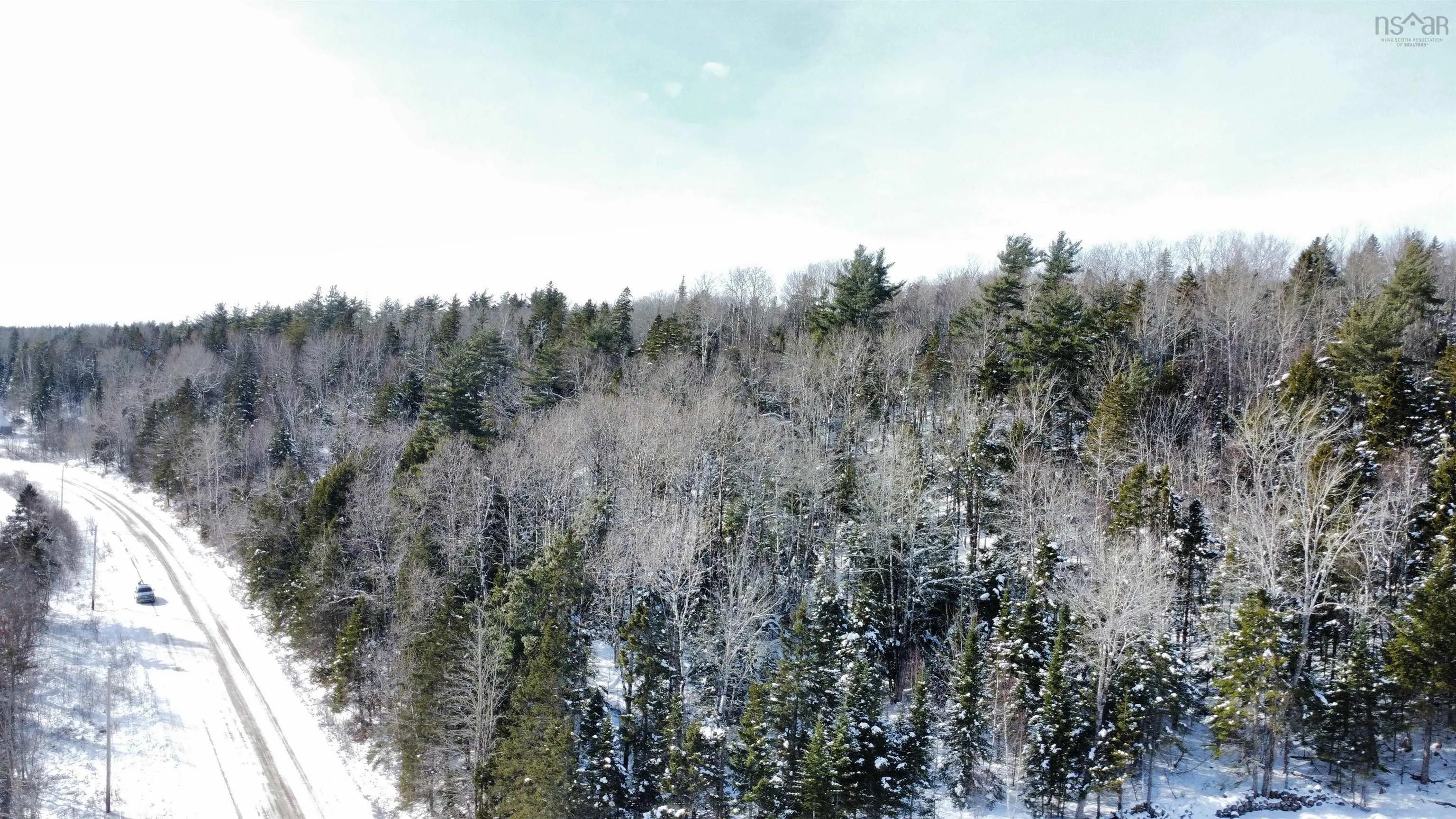 Thomson Road, Birchwood Ns B0m 1p0, ,Land,For Sale,Thomson,202502486